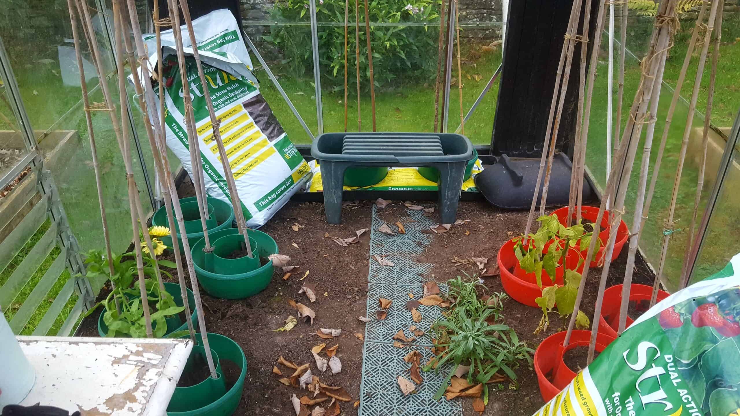 November in our garden - a garden diary November in our garden - greenhouse