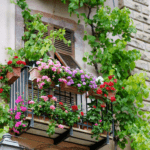 Small balcony garden - climbers and flower pots