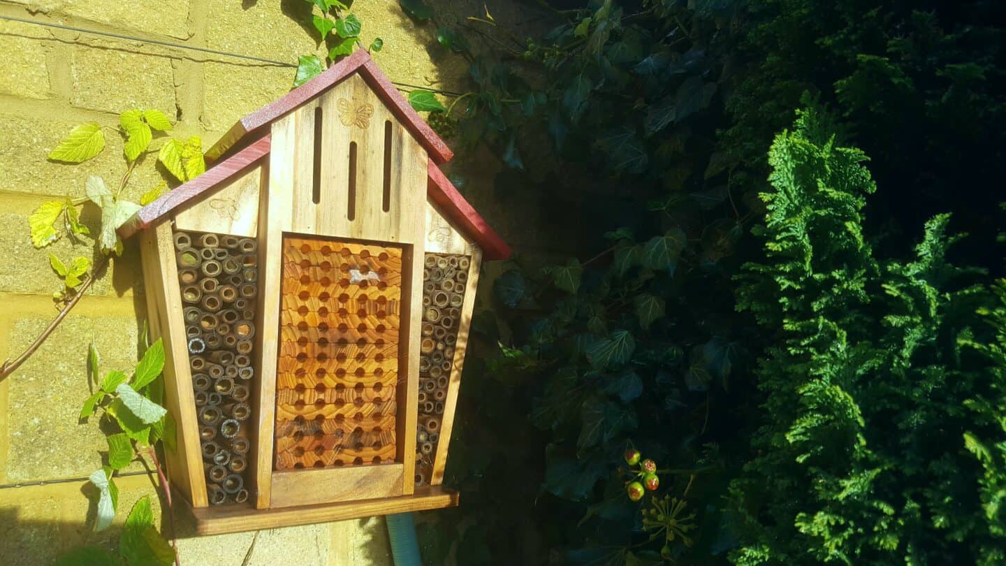 December in our garden - a garden diary December in our garden - bug box