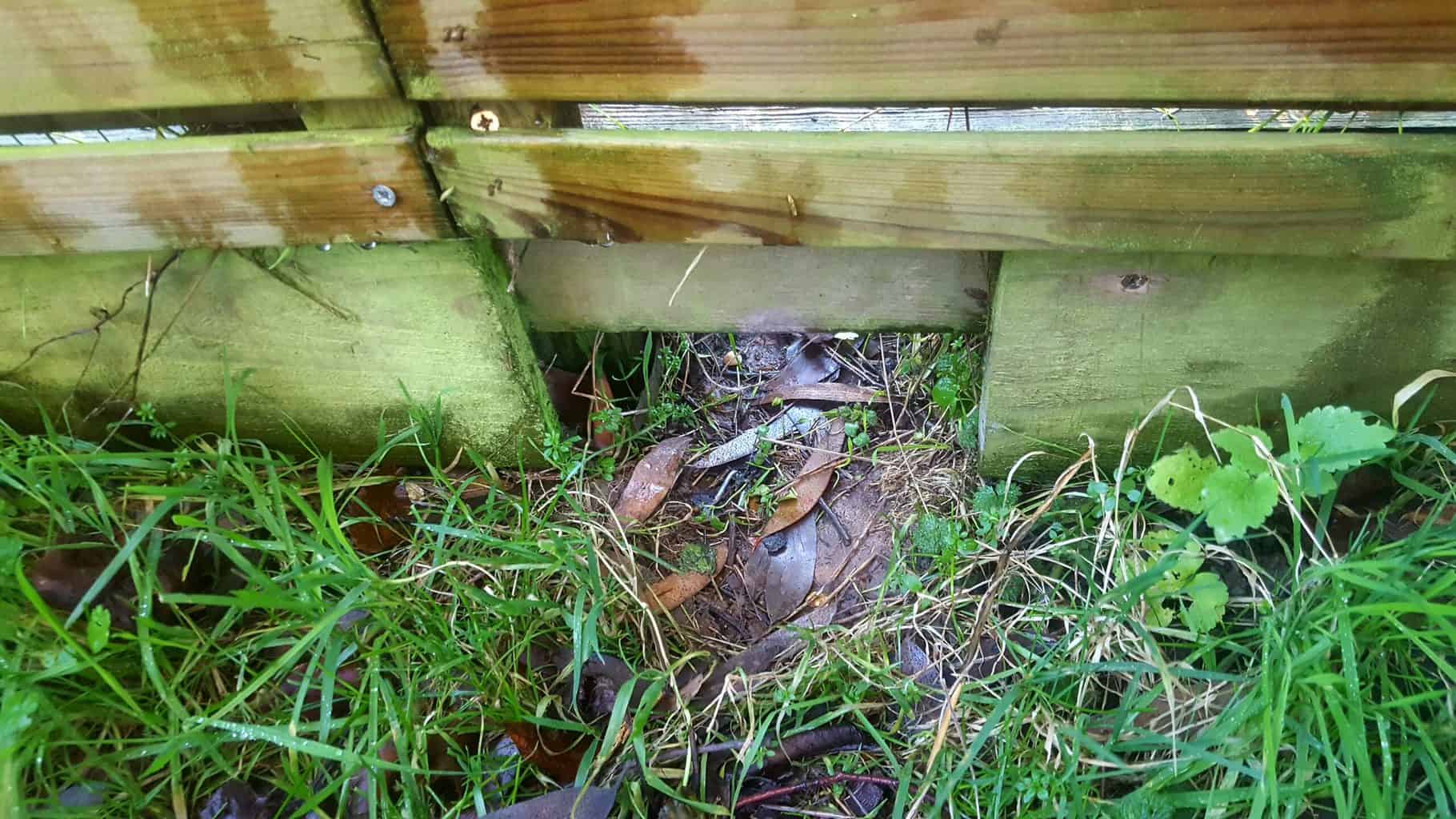 December in our garden - a garden diary December in our garden - hedgehog hole in fence