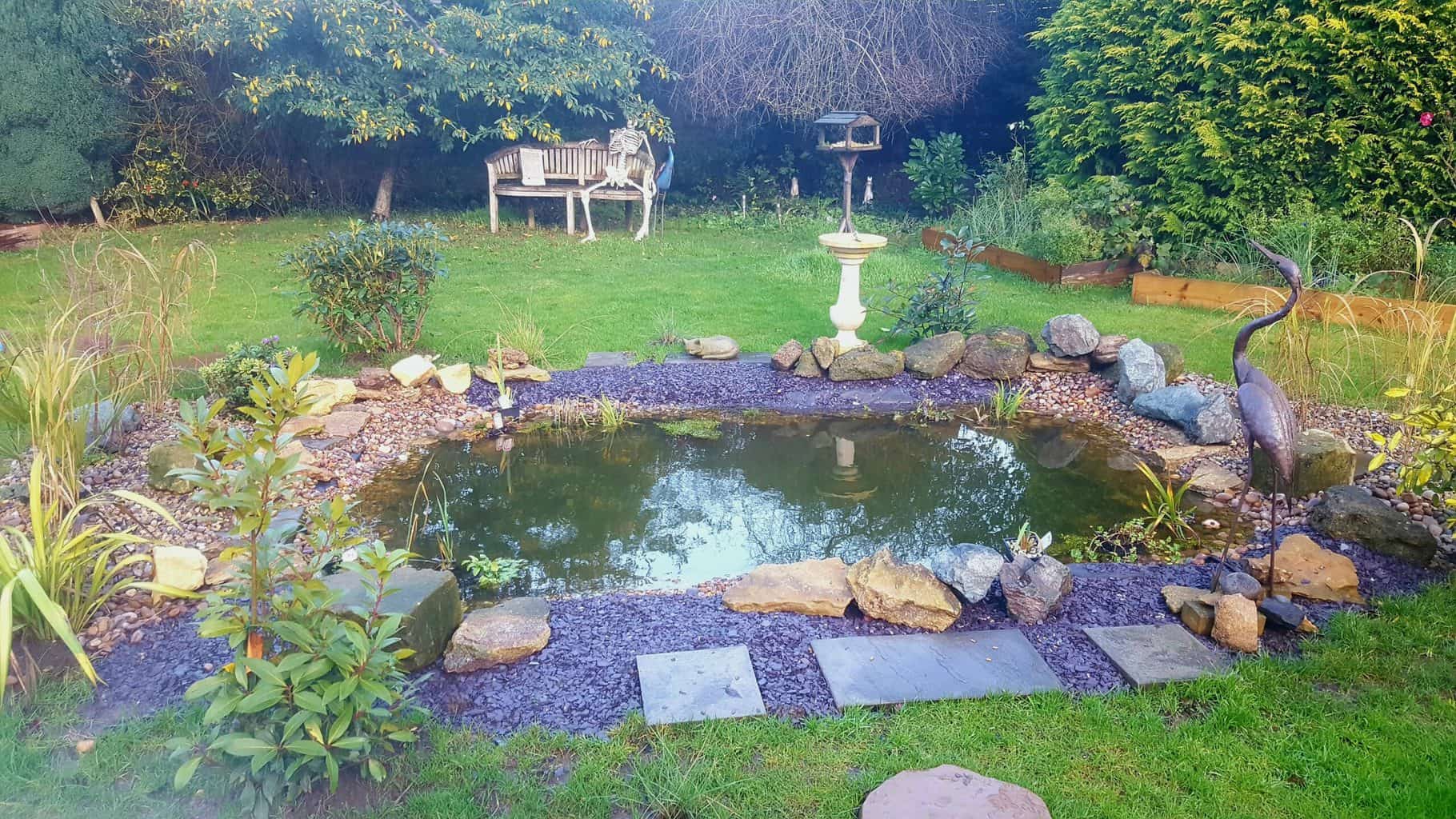 December in our garden - a garden diary December in our garden - wildlife pond