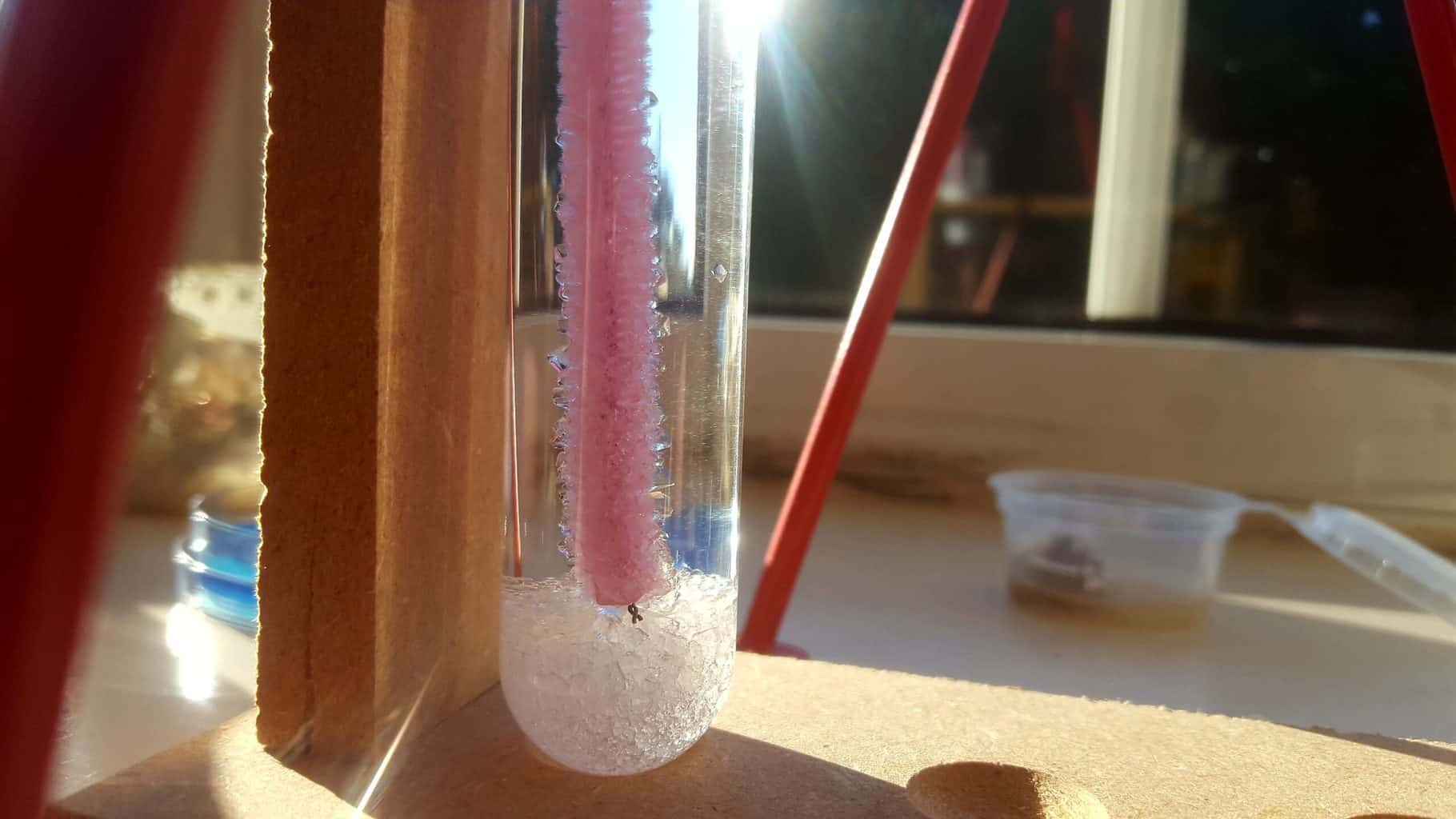 Fun science experiments for kids at home: Letterbox Rox * Fun science experiments for kids at home - Letterbox Rox