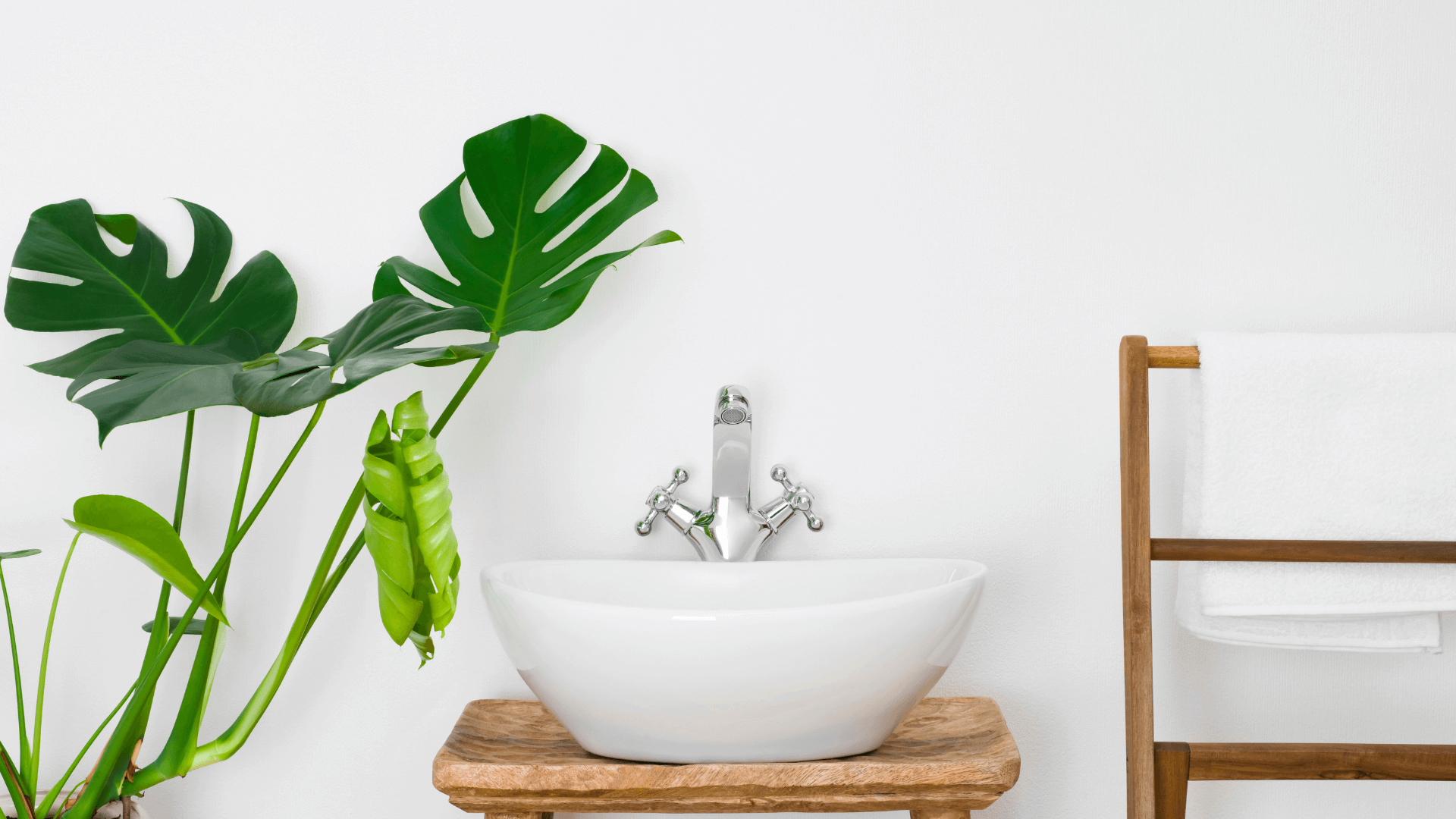 Clean bathroom decor on a budget with 4 easy upgrades * clean bathroom decor ideas - plant next to a sink