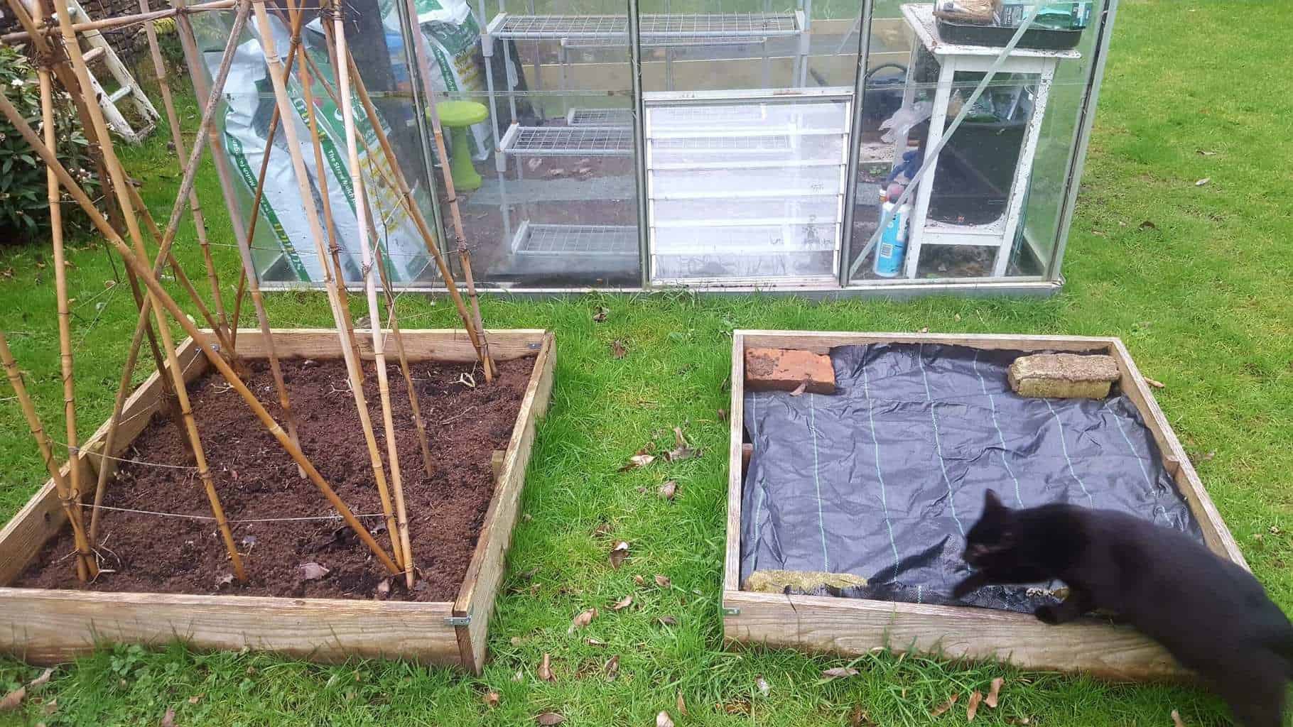 Gardening in February - February's garden blog Prepared vegetable beds