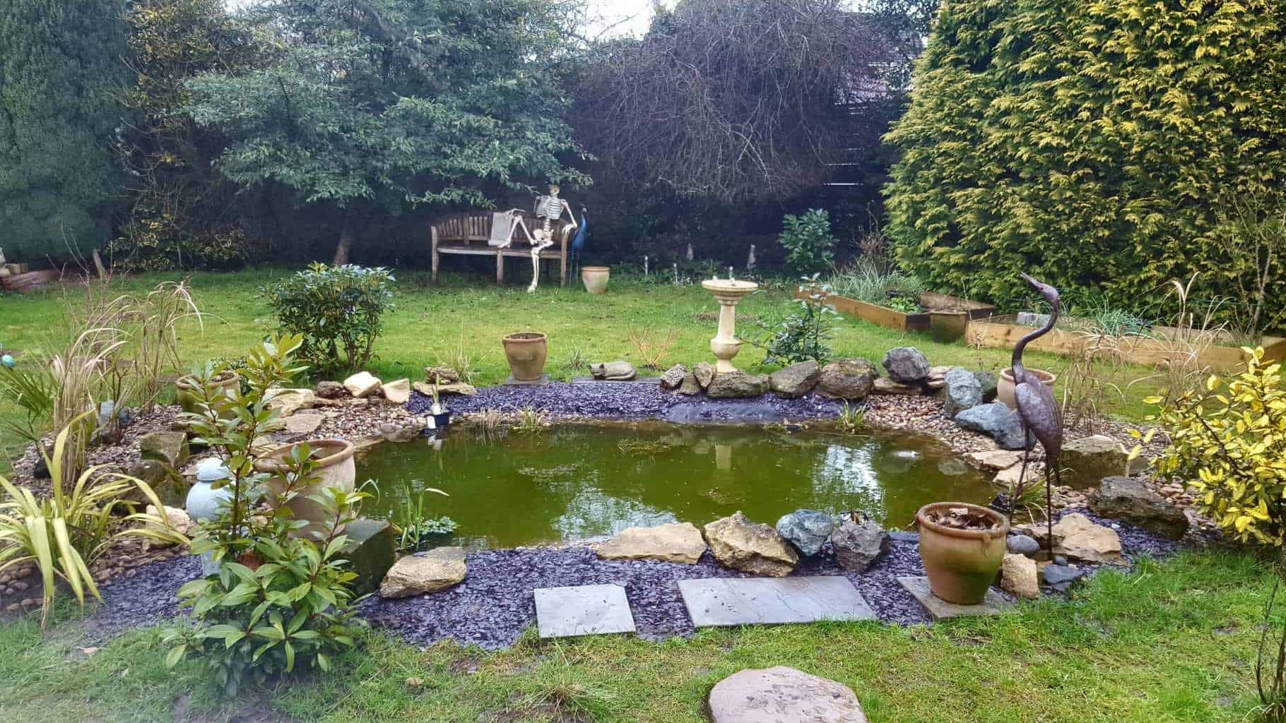Gardening in February - February's garden blog WIldlife pond