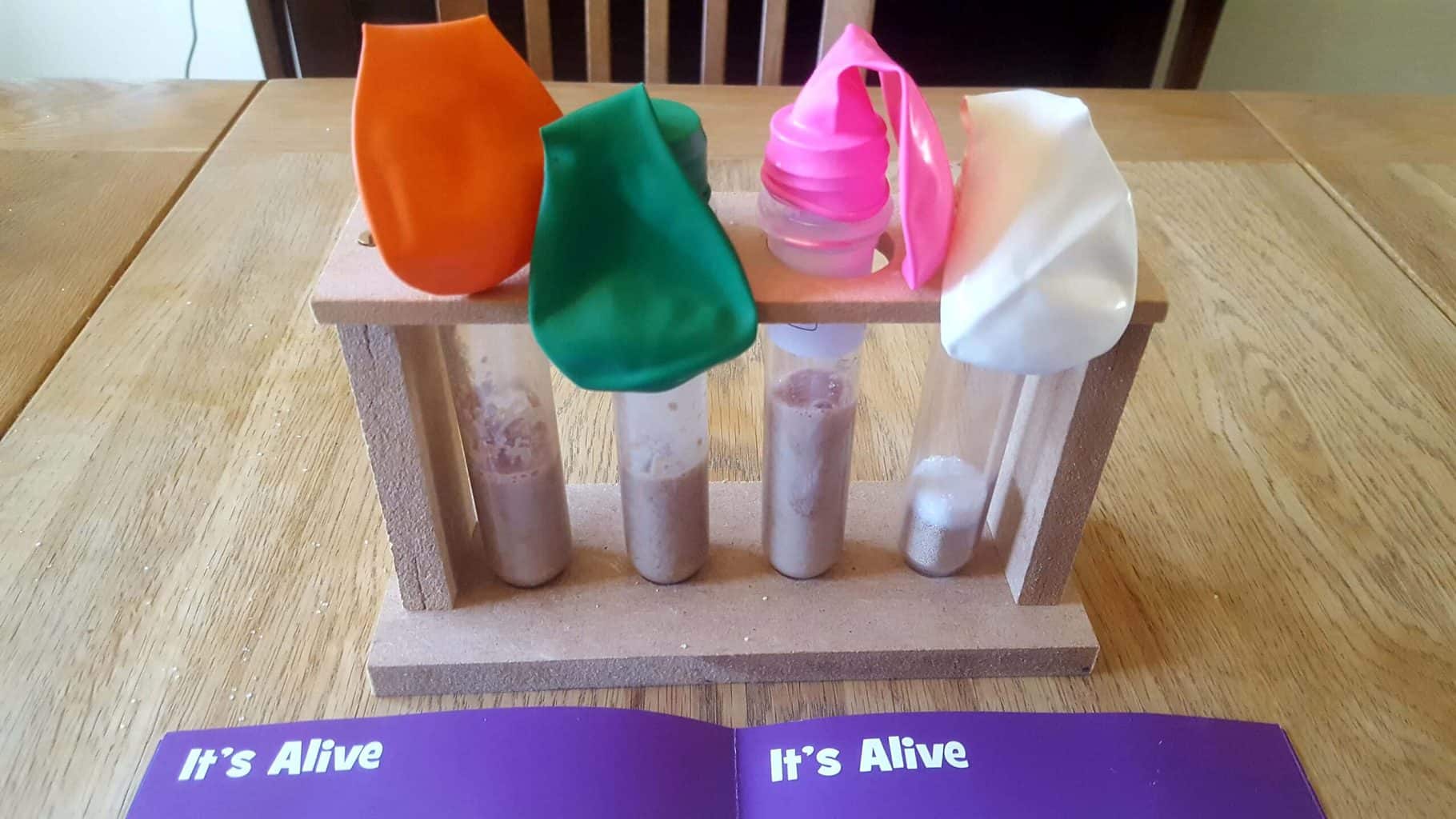 Fun science experiments for kids at home: Waste of Space * fun-science-experiments-for-kids-waste-of-space_09-its-alive
