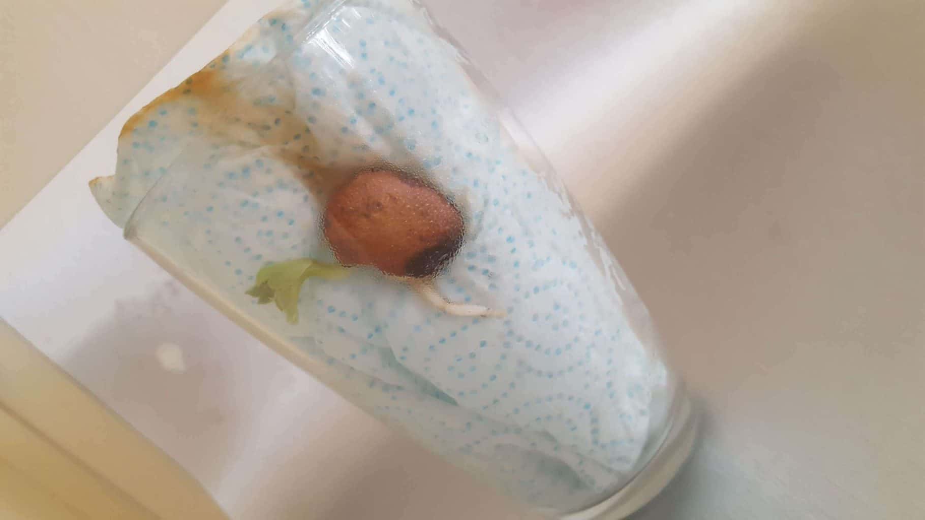 Fun science experiments for kids at home: Waste of Space * fun-science-experiments-for-kids-waste-of-space_14-bean-before