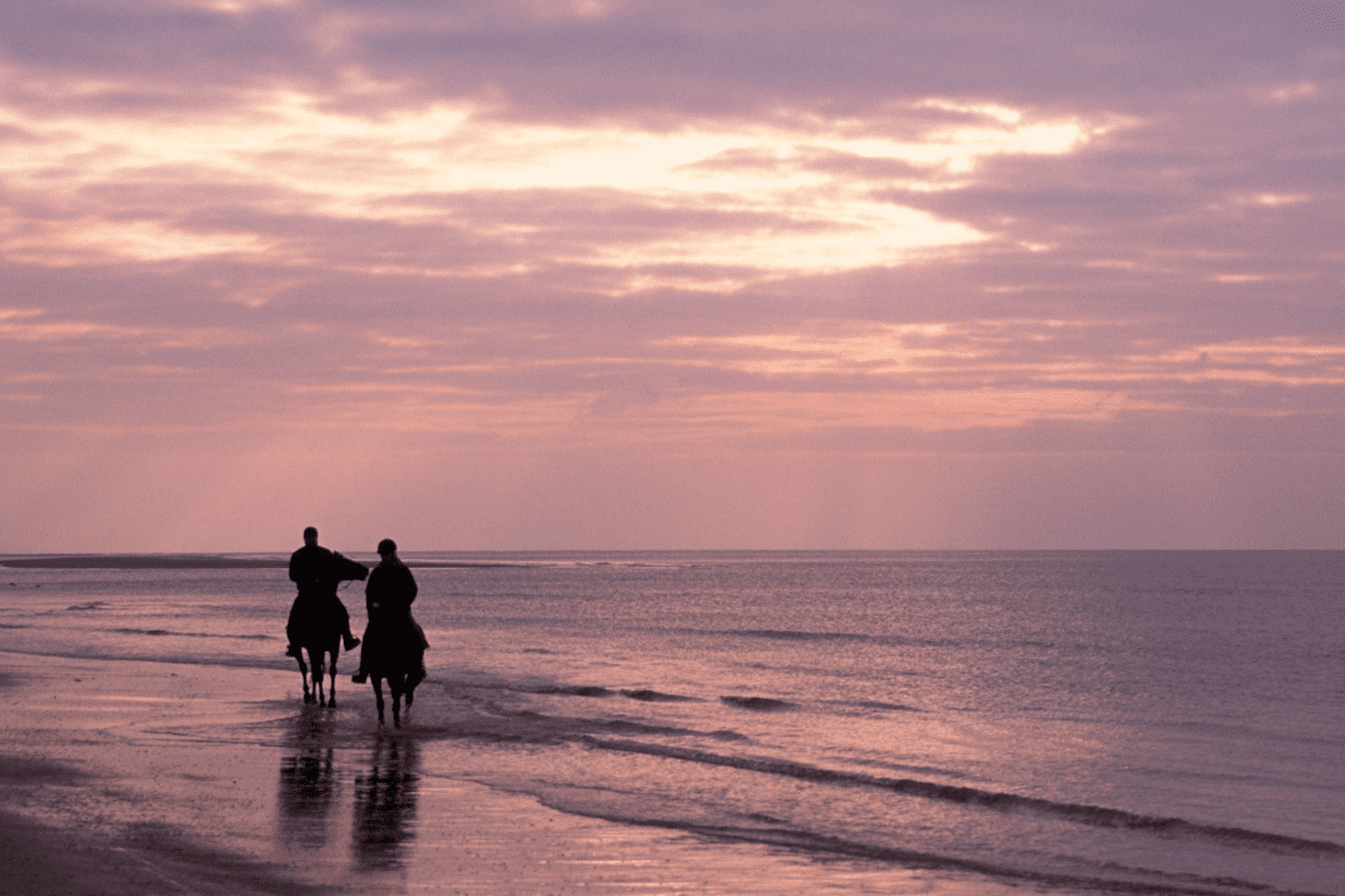 Horse riding in Cornwall - 5 brilliant beach rides you need to try * Horse-riding-in-Cornwall-sunset