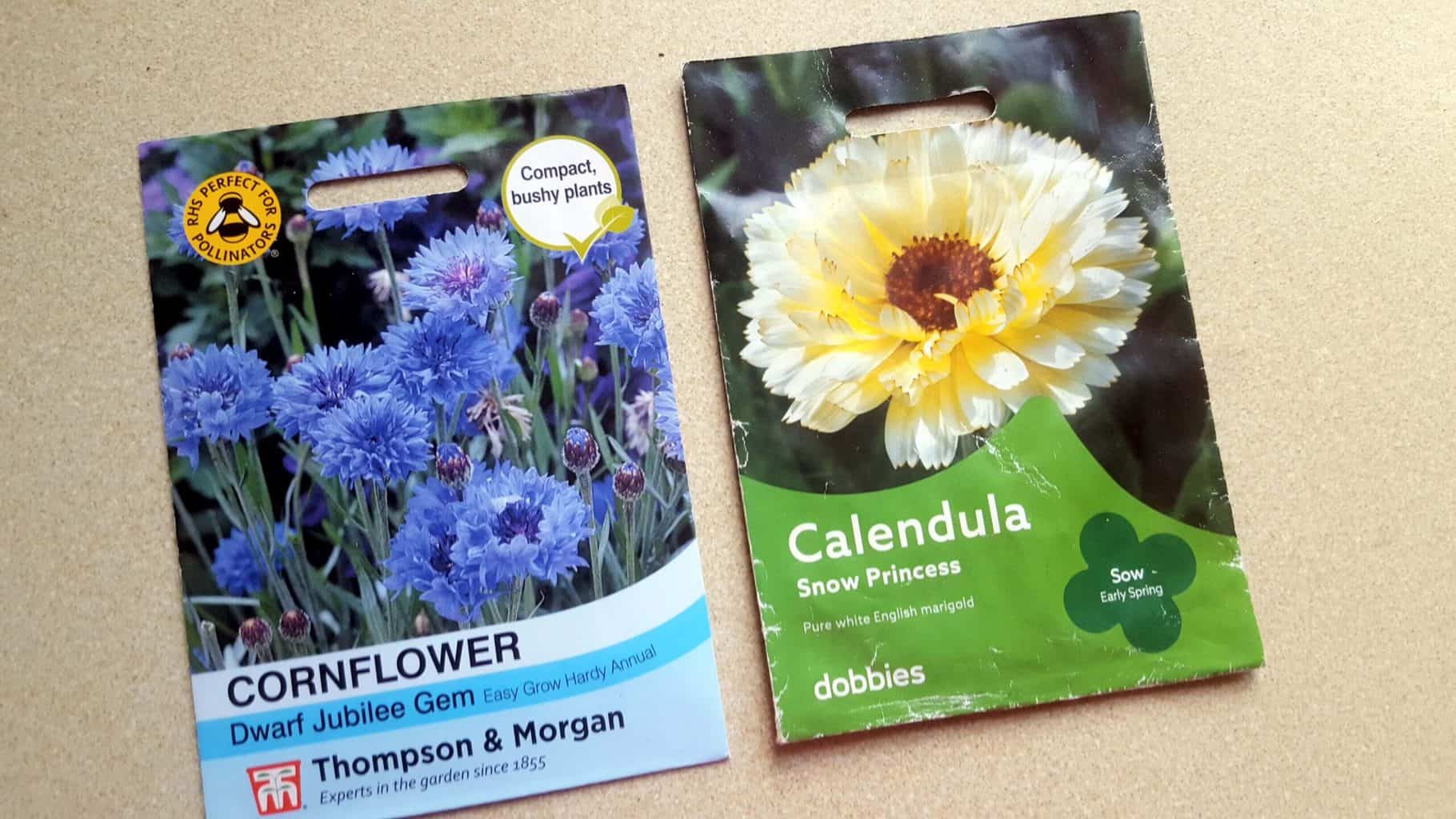 Gardening in April - April's garden blog Gardening-in-April-cornflower-calendula-seeds