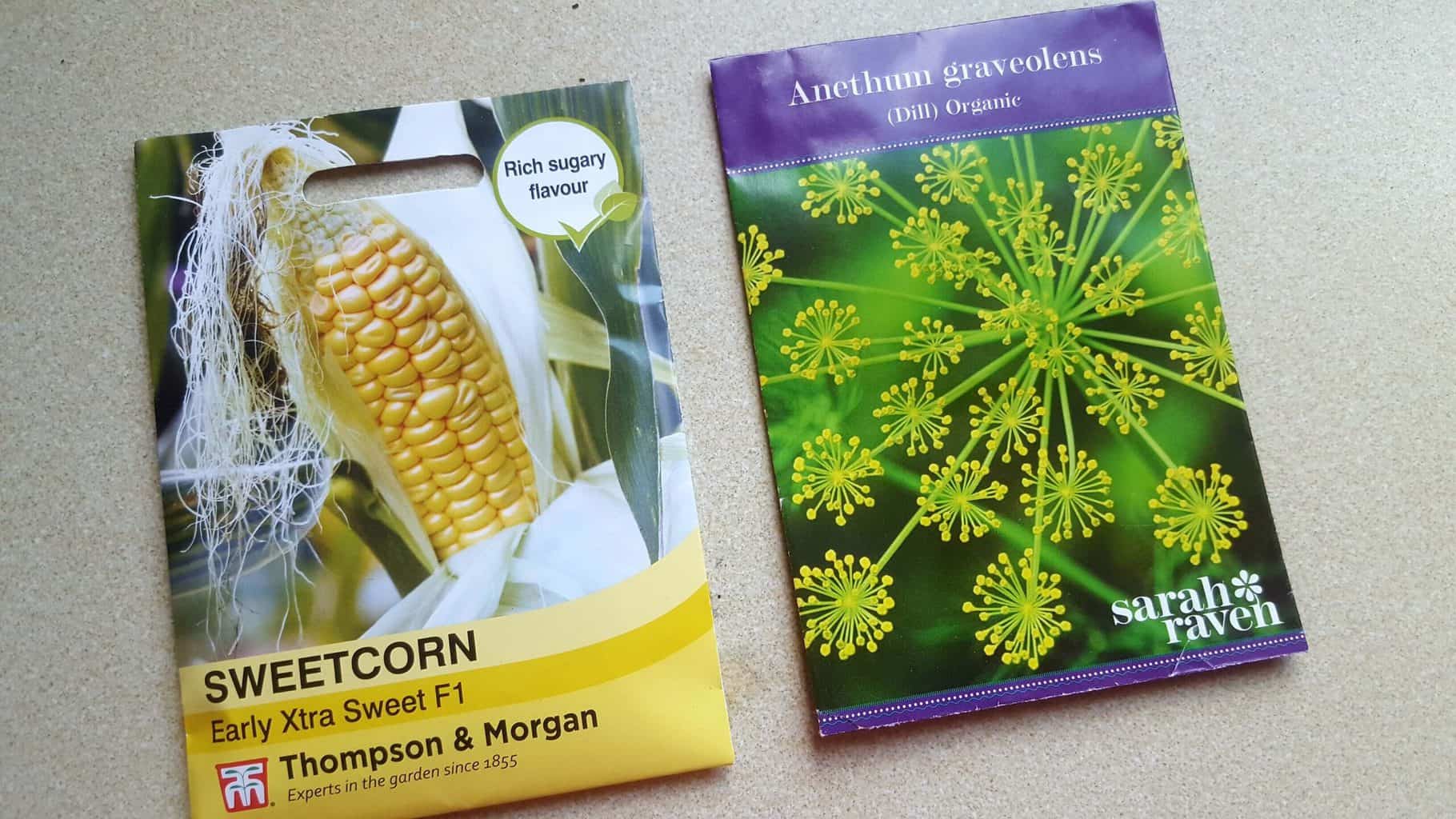 Gardening in April - April's garden blog Gardening-in-April-sweetcorn-dill-seeds