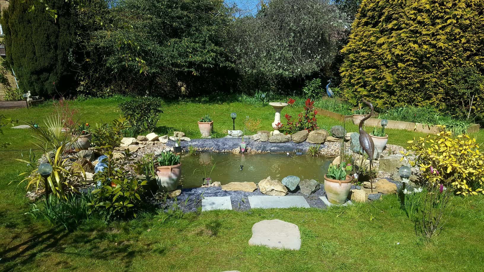Gardening in April - April's garden blog Gardening-in-April-wildlife-pond