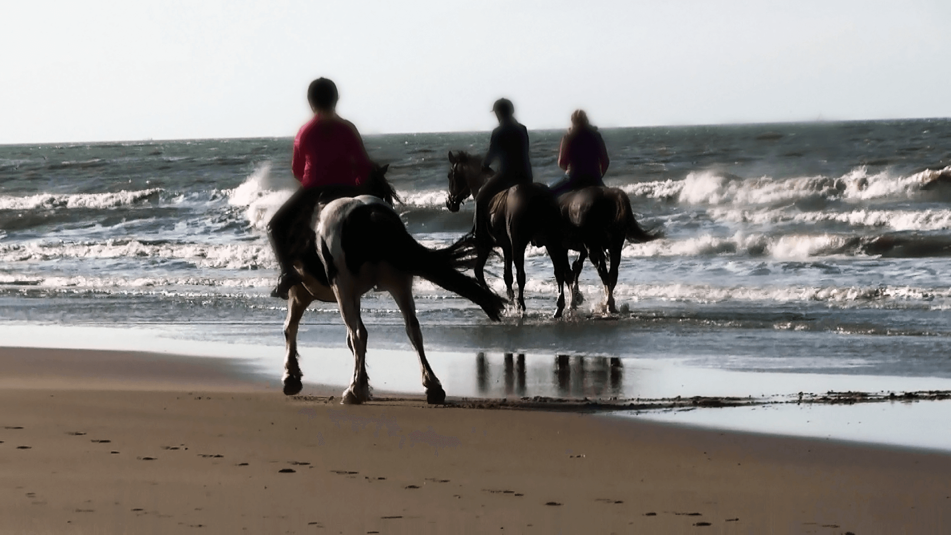 Horse riding in Cornwall - 5 brilliant beach rides you need to try * Horse-riding-in-Cornwall_riders-in-the-surf