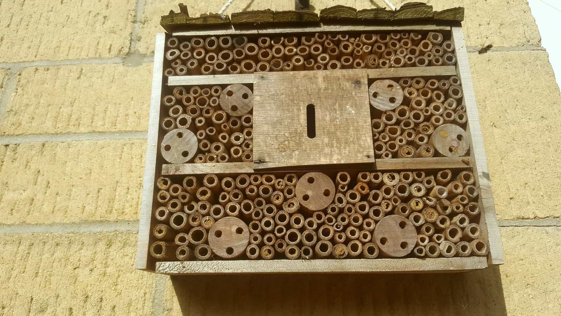 Gardening in May - May's garden blog Gardening-in-May-bee-box