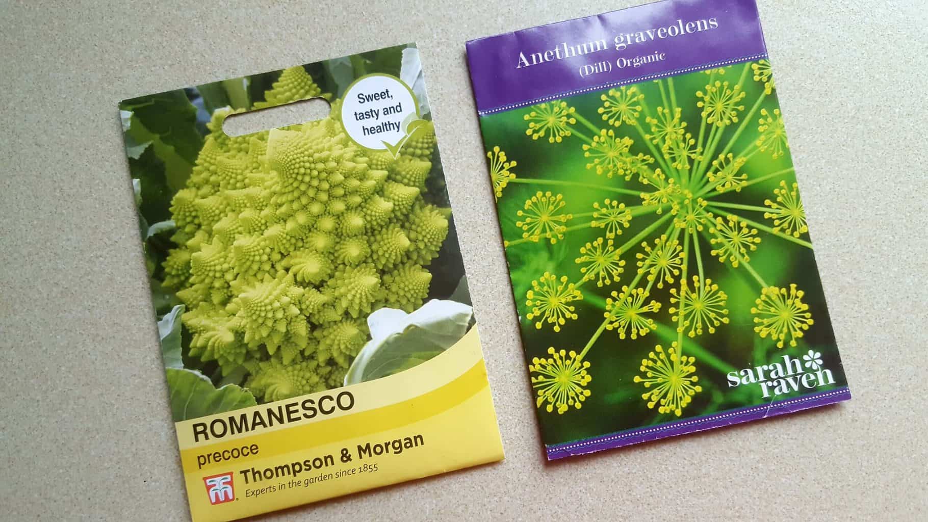 Gardening in May - May's garden blog Gardening-in-May-dillseeds-romanescoseeds