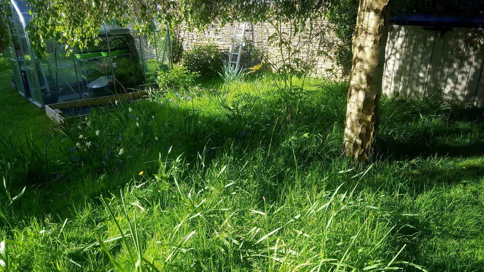 Gardening in May - May's garden blog Gardening-in-May-left-wild