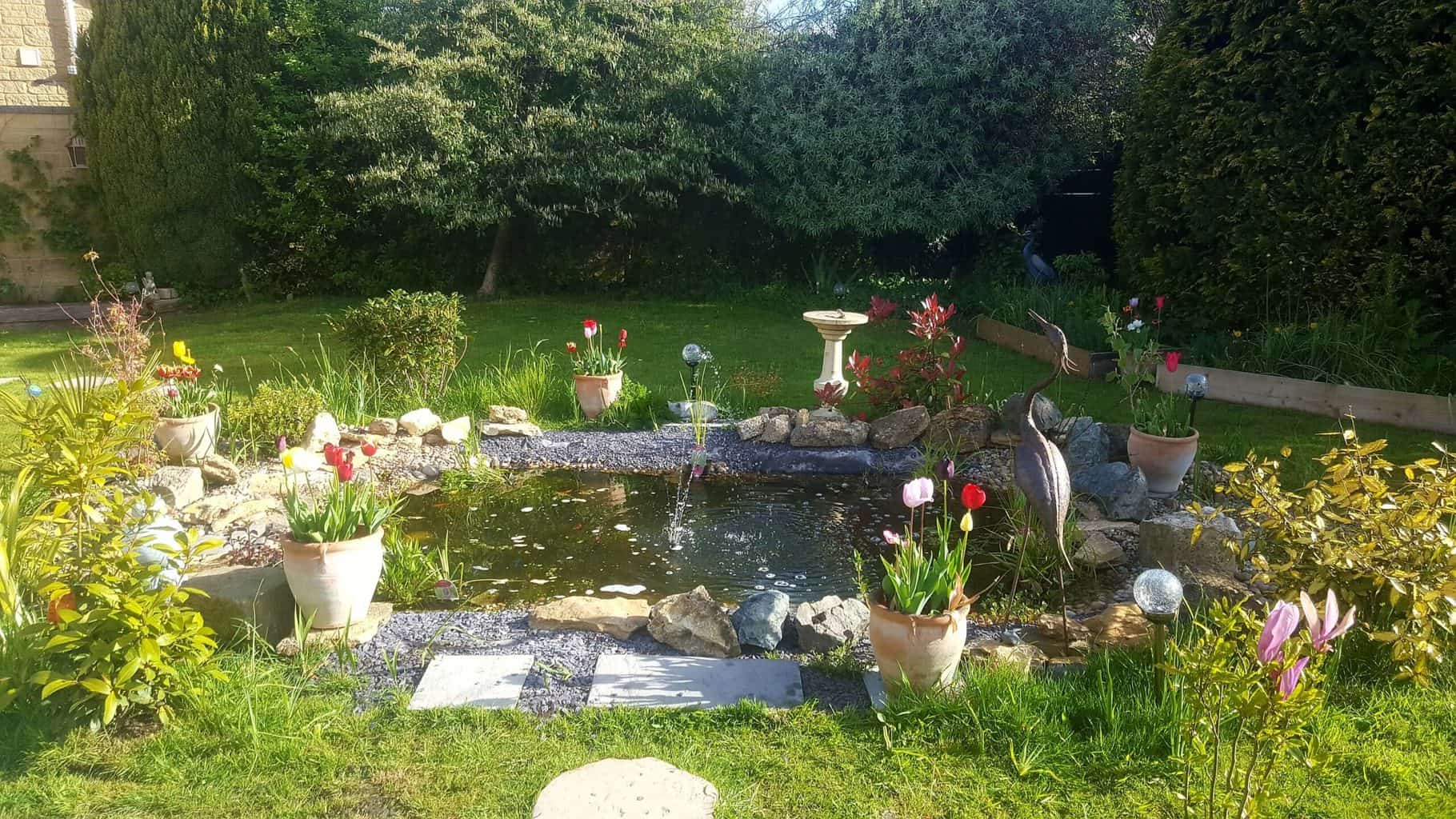 Gardening in May - May's garden blog Gardening in May wildlife pond scaled