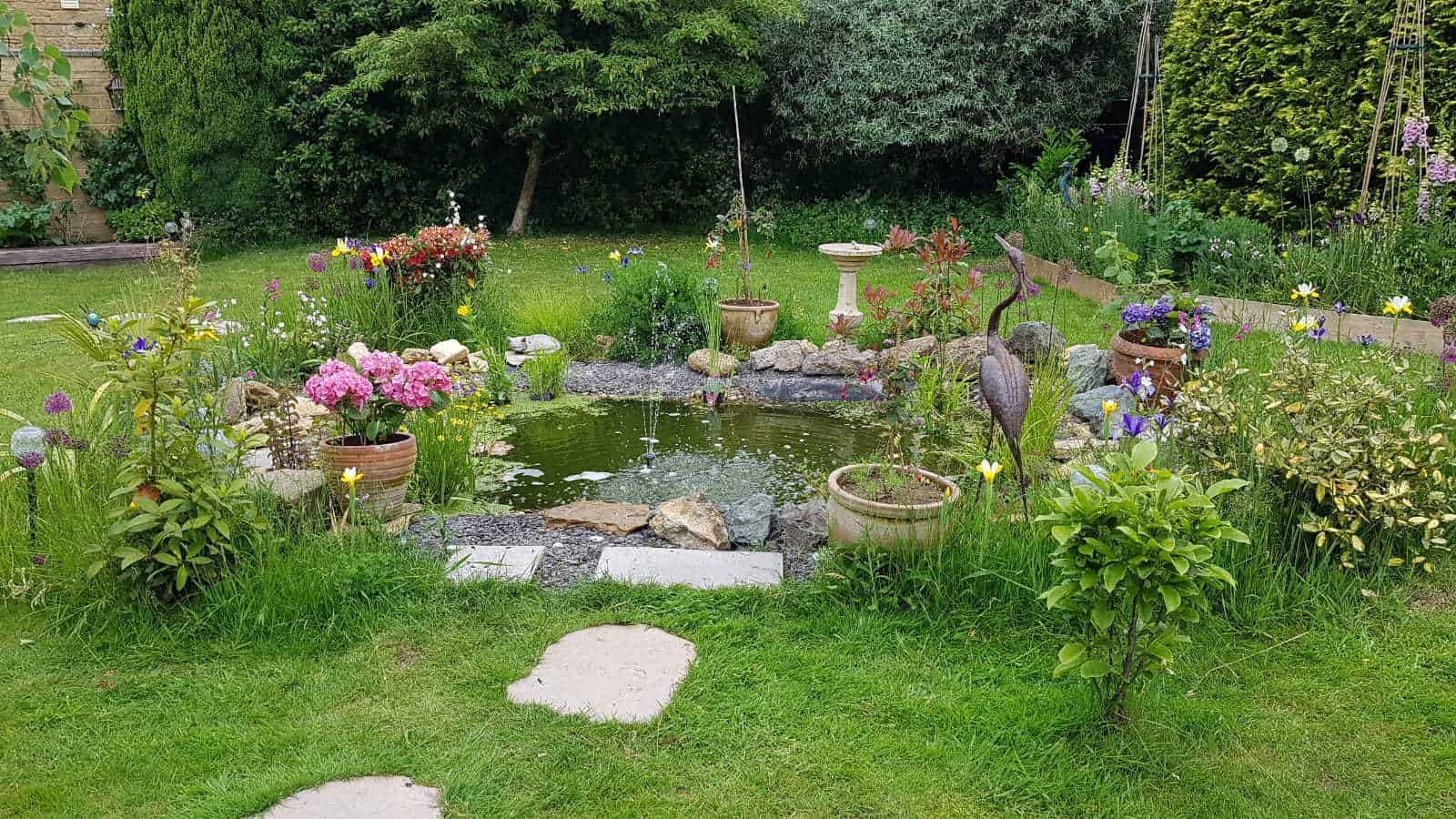 Gardening in June – June’s garden blog Gardening-in-June-wildlife-pond