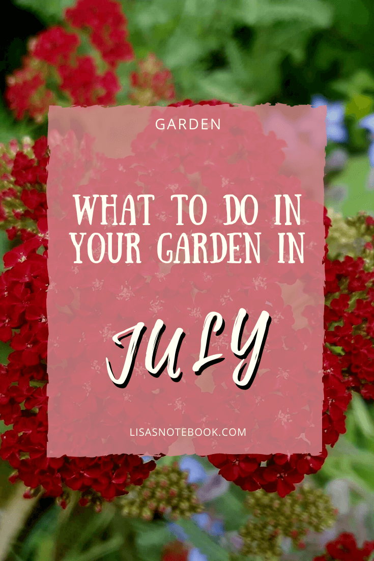 Gardening in July – July’s garden blog 368 Gardening in July 1