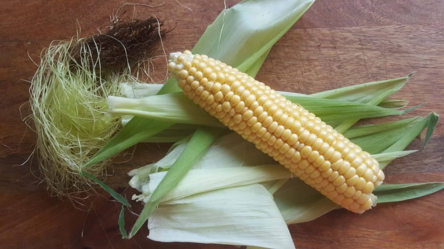 Gardening in August – August’s garden blog Gardening-in-August-sweetcorn-harvested