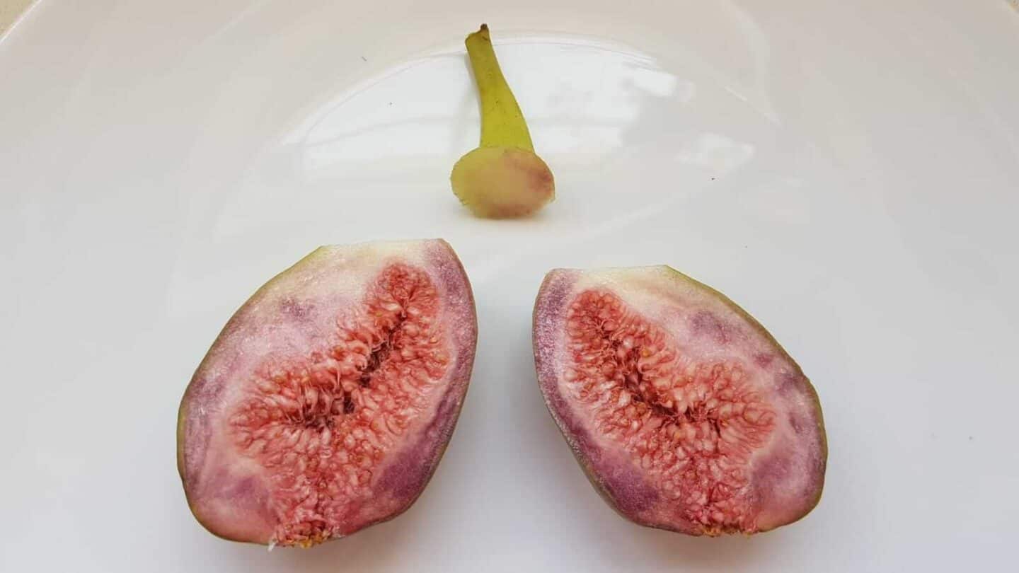 Gardening in October – October’s garden blog Gardening-in-October-fig-cut-open