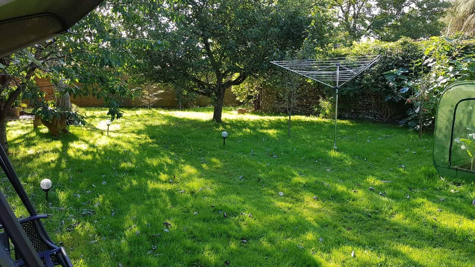 Gardening in October – October’s garden blog Gardening-in-October-orchard