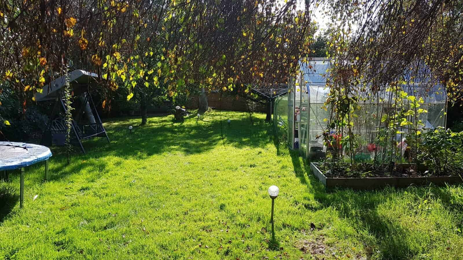 Gardening in October – October’s garden blog Gardening-in-October-orchard