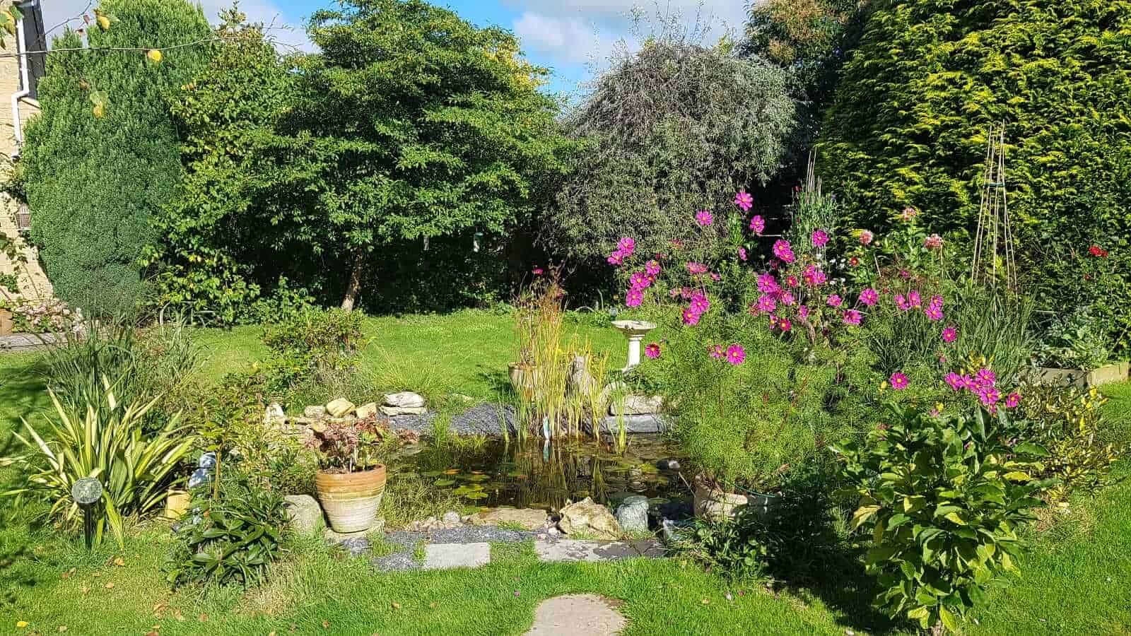 Gardening in October – October’s garden blog Gardening-in-October-wildlife-pond
