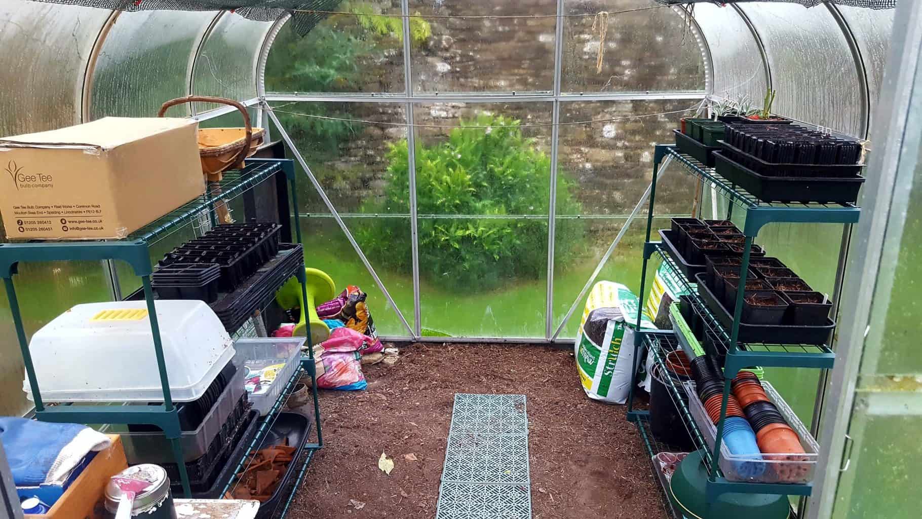 Gardening in November – November’s garden blog Gardening-in-November-greenhouse