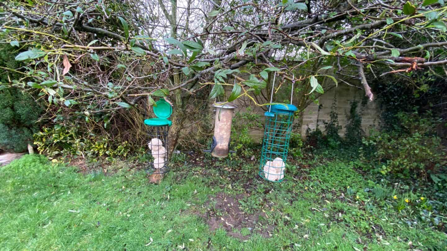 March Gardening - What To Do in the Garden in March March-gardening-bird-feeders