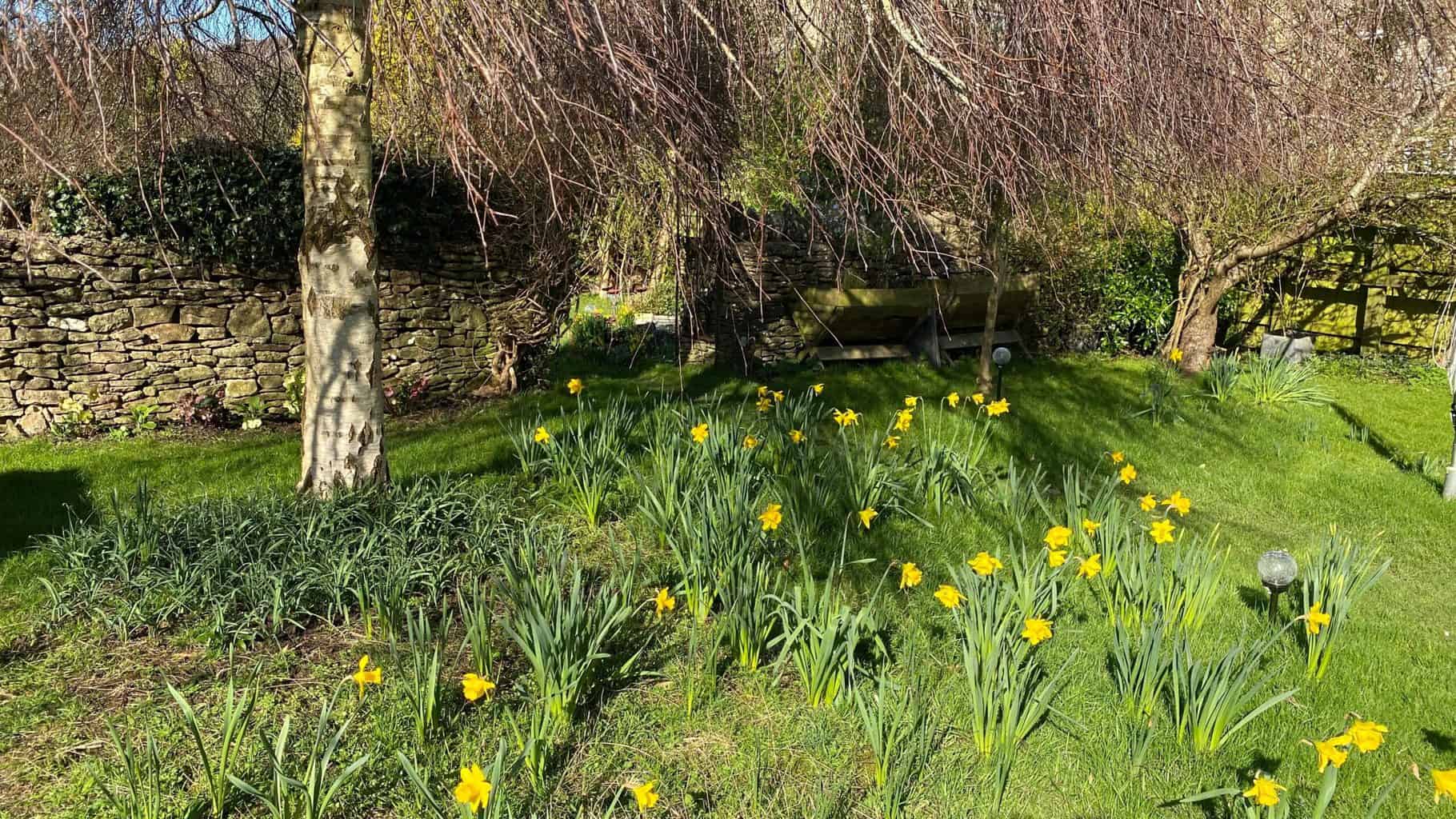 March Gardening - What To Do in the Garden in March March-gardening-orchard-daffodils-sunshine