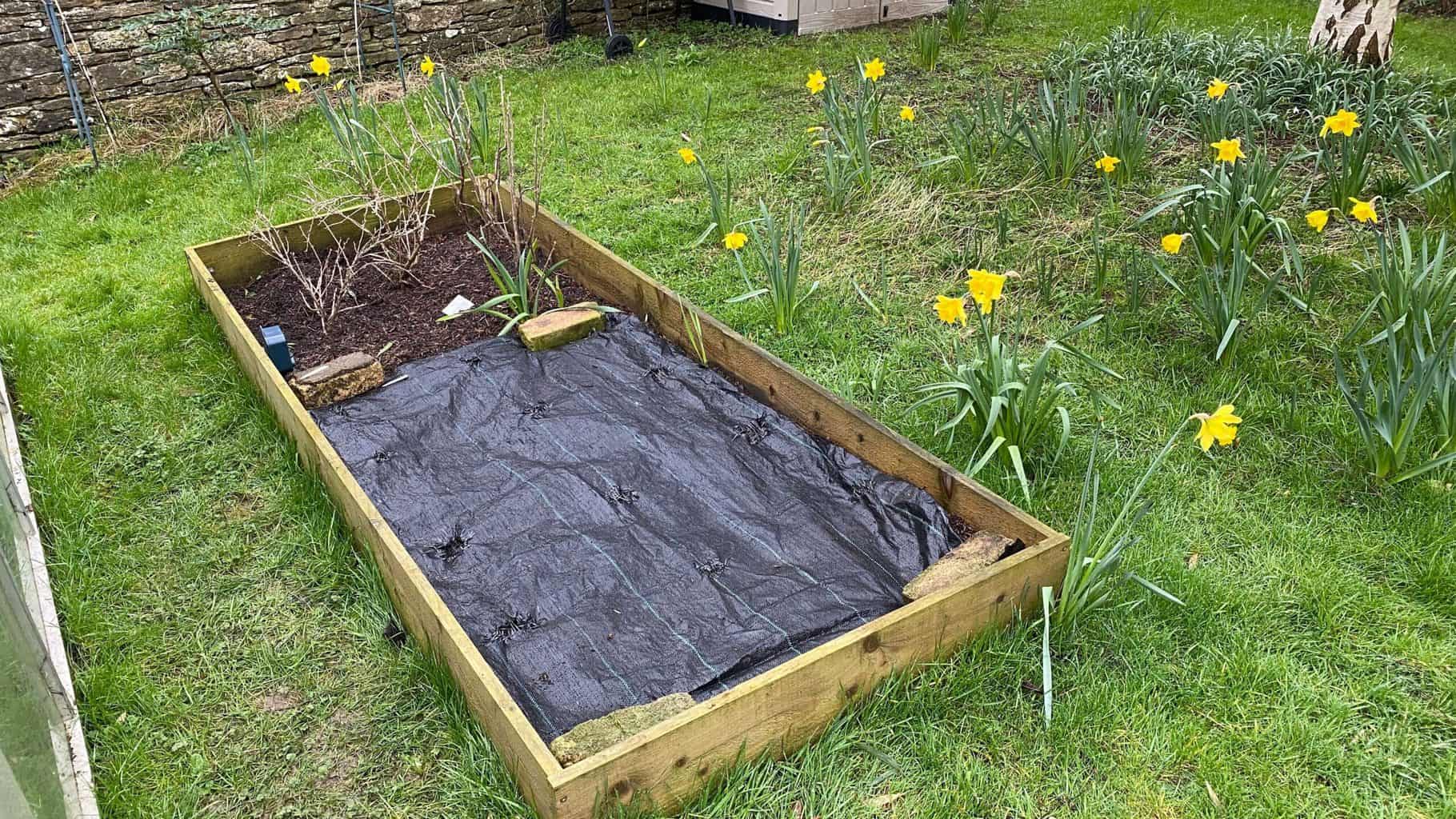 March Gardening - What To Do in the Garden in March March gardening vegetable bed preparation scaled
