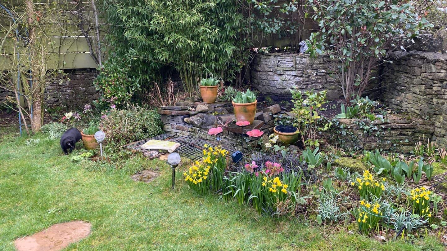 March Gardening - What To Do in the Garden in March March-gardening-wildlife-pond-cover