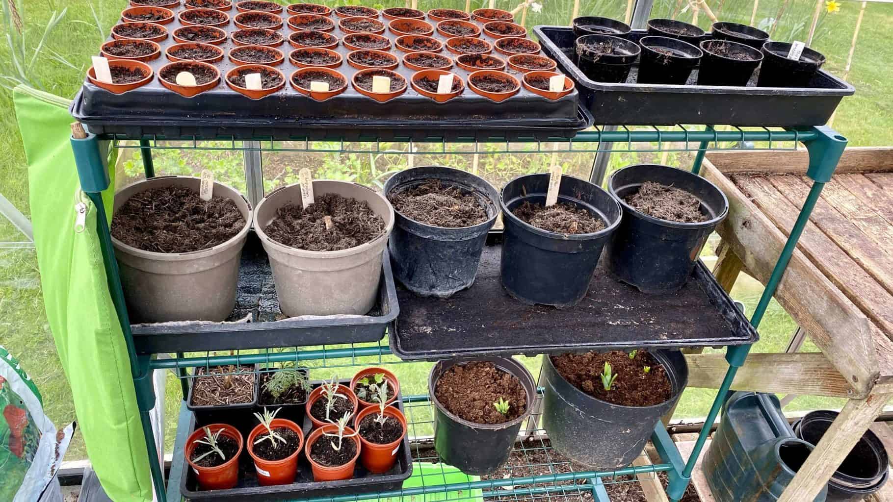 April Gardening - What To Do in the Garden in April april-gardening-greenhouse