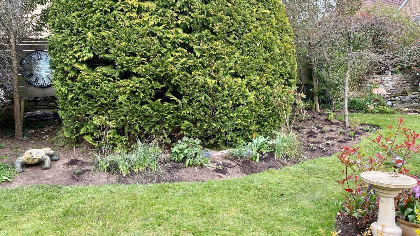 April Gardening - What To Do in the Garden in April april gardening herbaceous border conifer