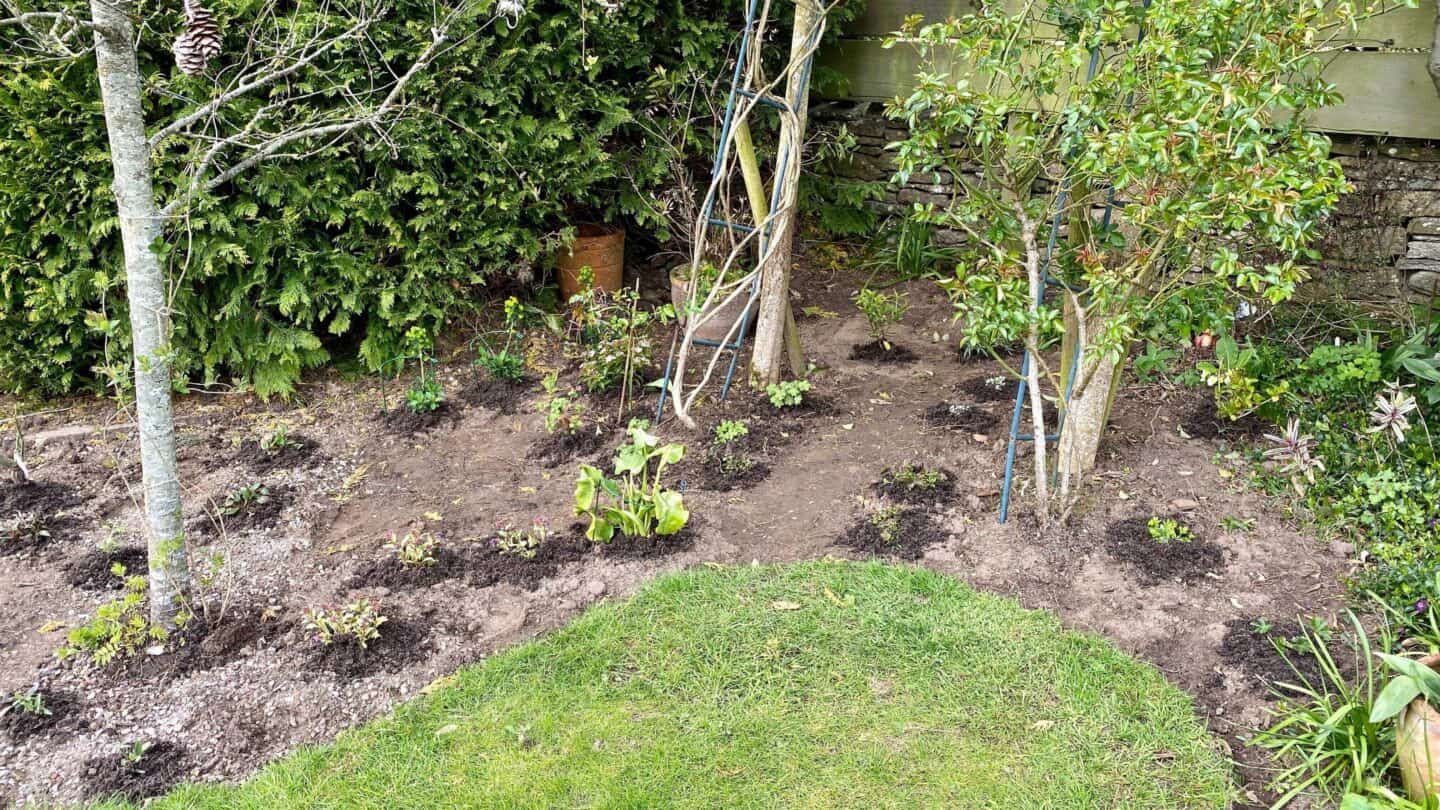 April Gardening - What To Do in the Garden in April april gardening herbaceous border roses