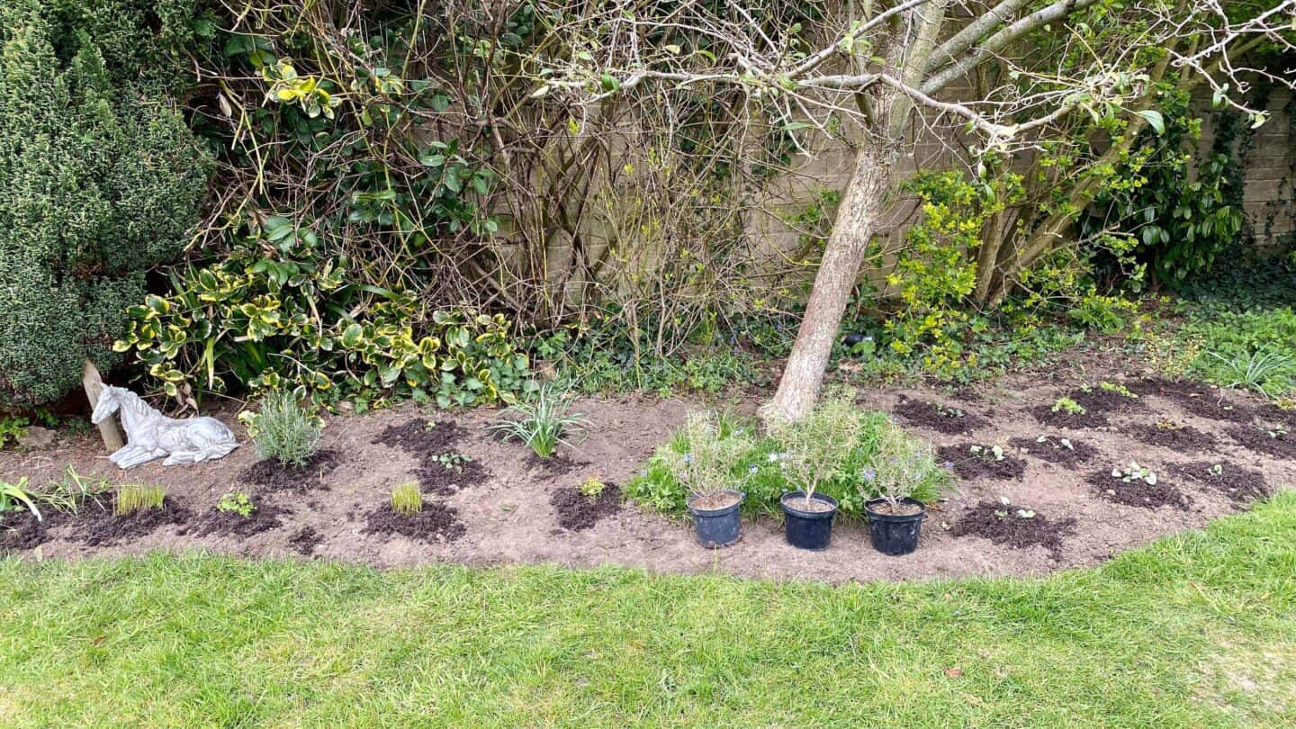 April Gardening - What To Do in the Garden in April april-gardening-herbaceous-border-sunny