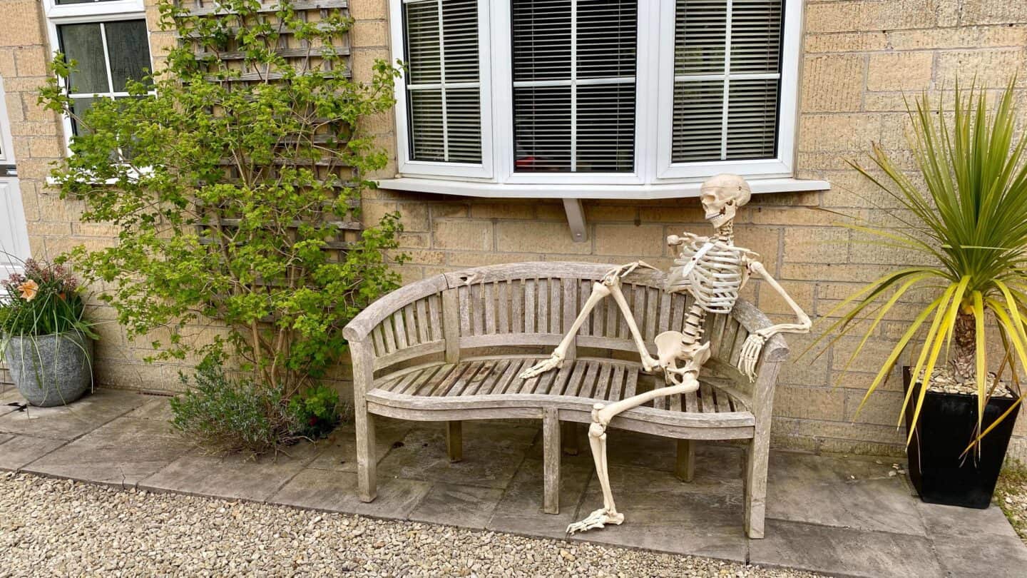 April Gardening - What To Do in the Garden in April april-gardening-skeleton