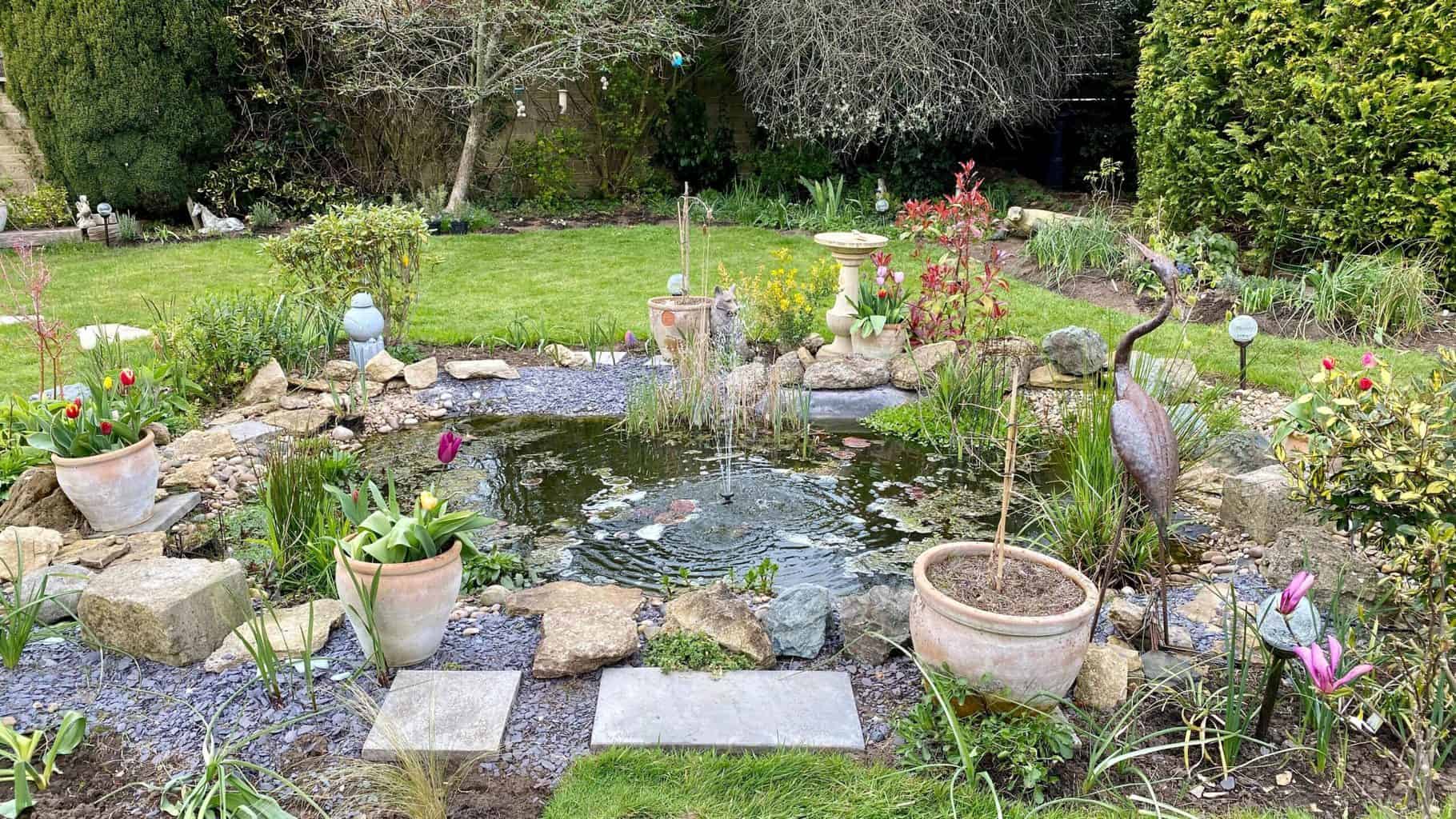April Gardening - What To Do in the Garden in April april-gardening-wildlife-pond