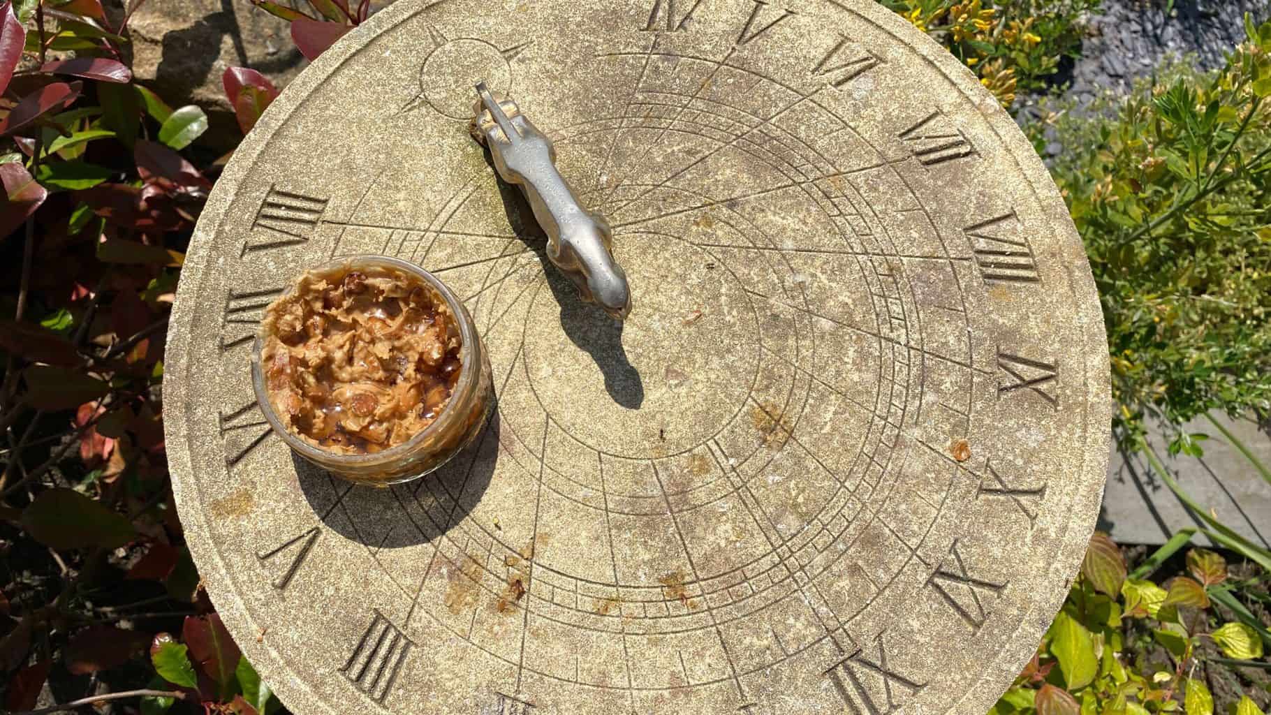 May Gardening - What To Do in the Garden in May May-gardening-bird-food
