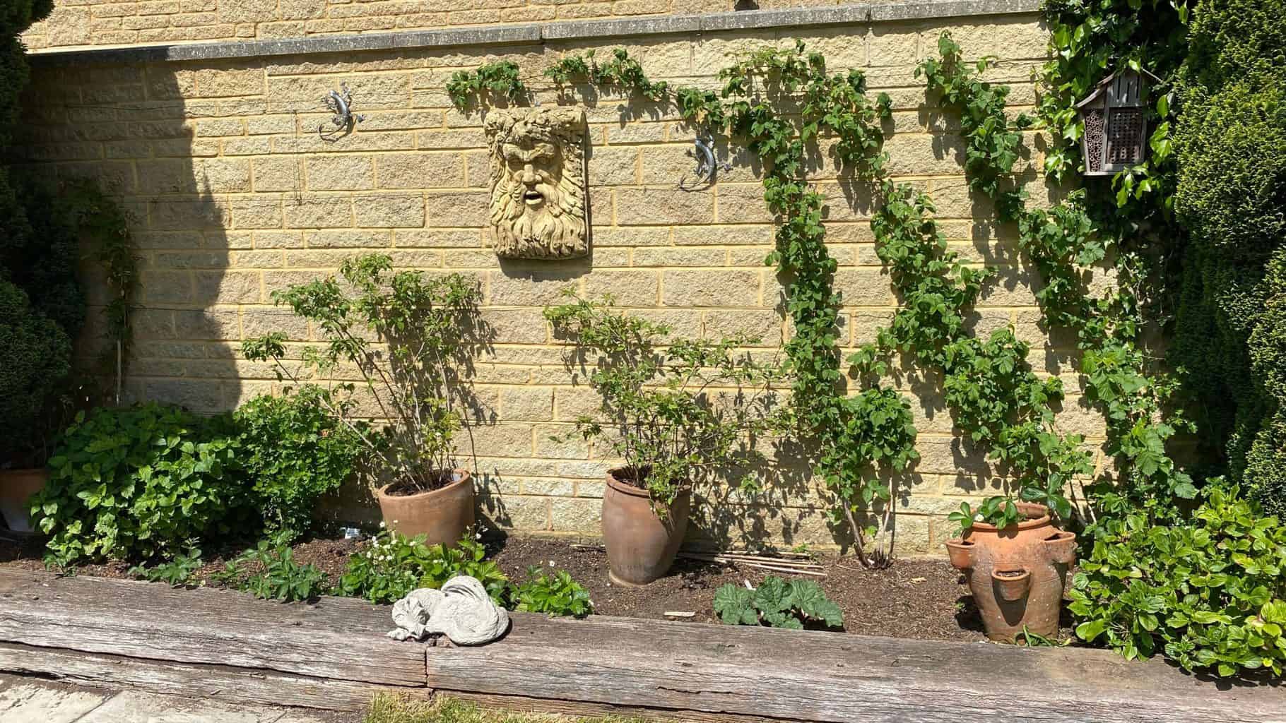 May Gardening - What To Do in the Garden in May May-gardening-fruit-bed