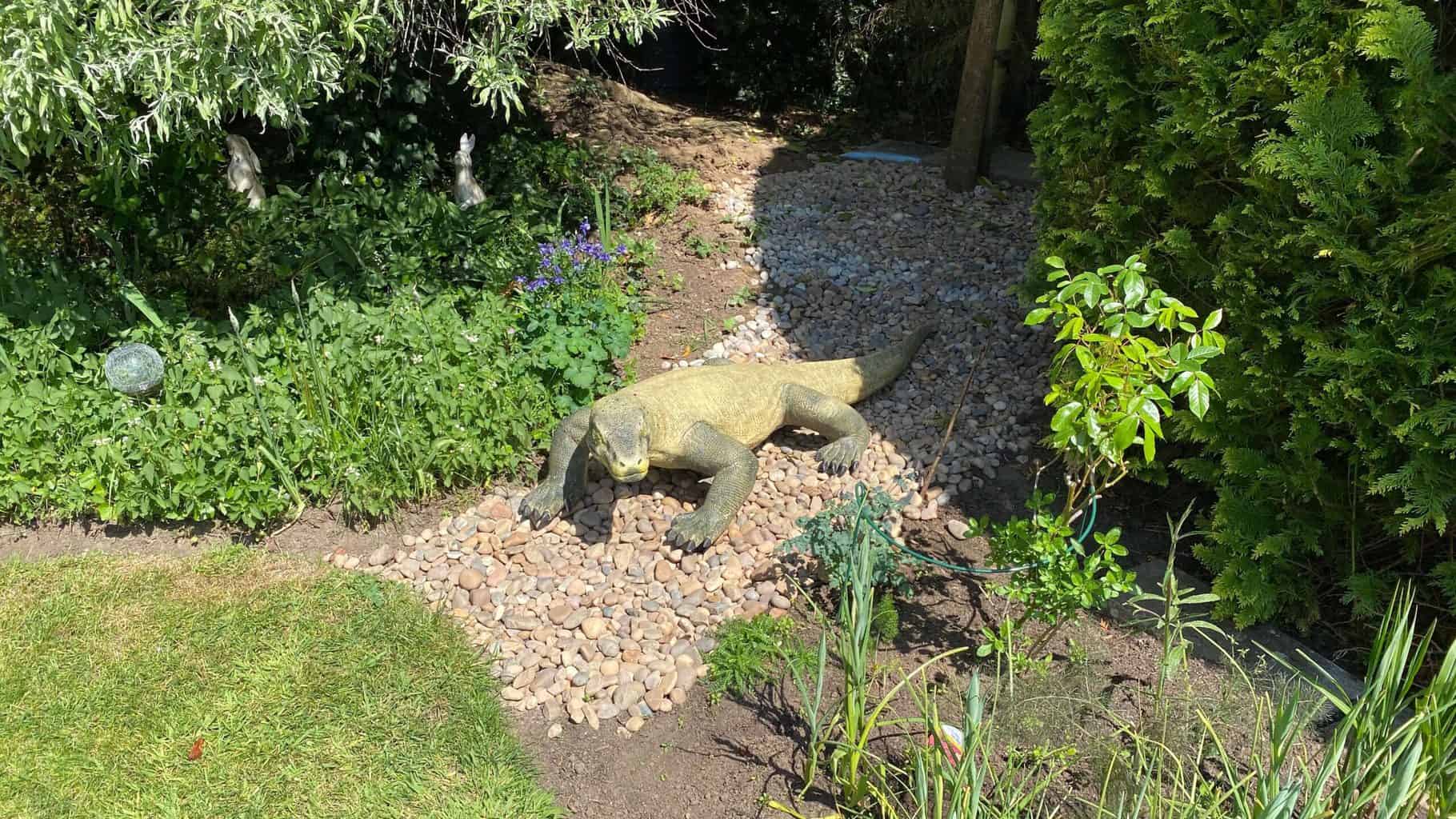 May Gardening - What To Do in the Garden in May May-gardening-new-bed-gravel-dragon