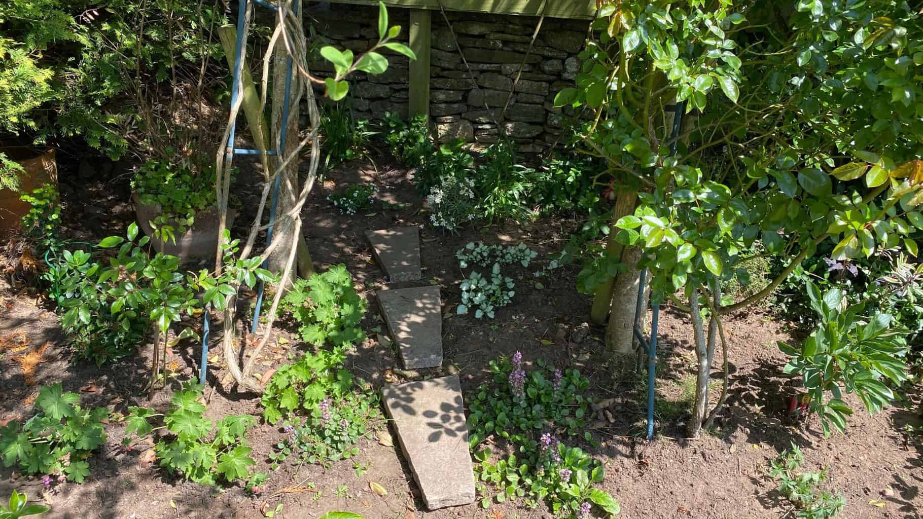 May Gardening - What To Do in the Garden in May May-gardening-new-bed-roses