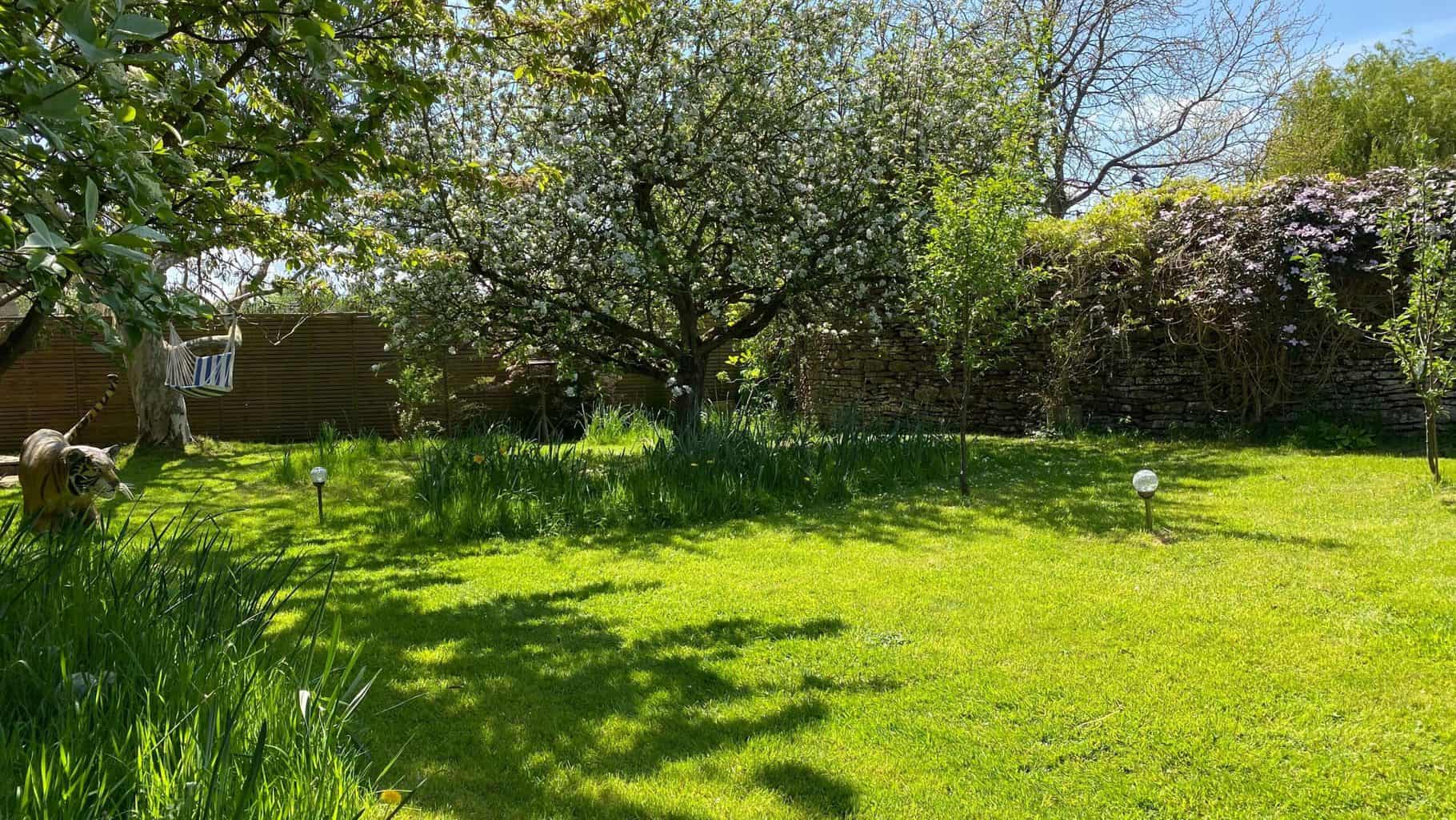 May Gardening - What To Do in the Garden in May May-gardening-orchard