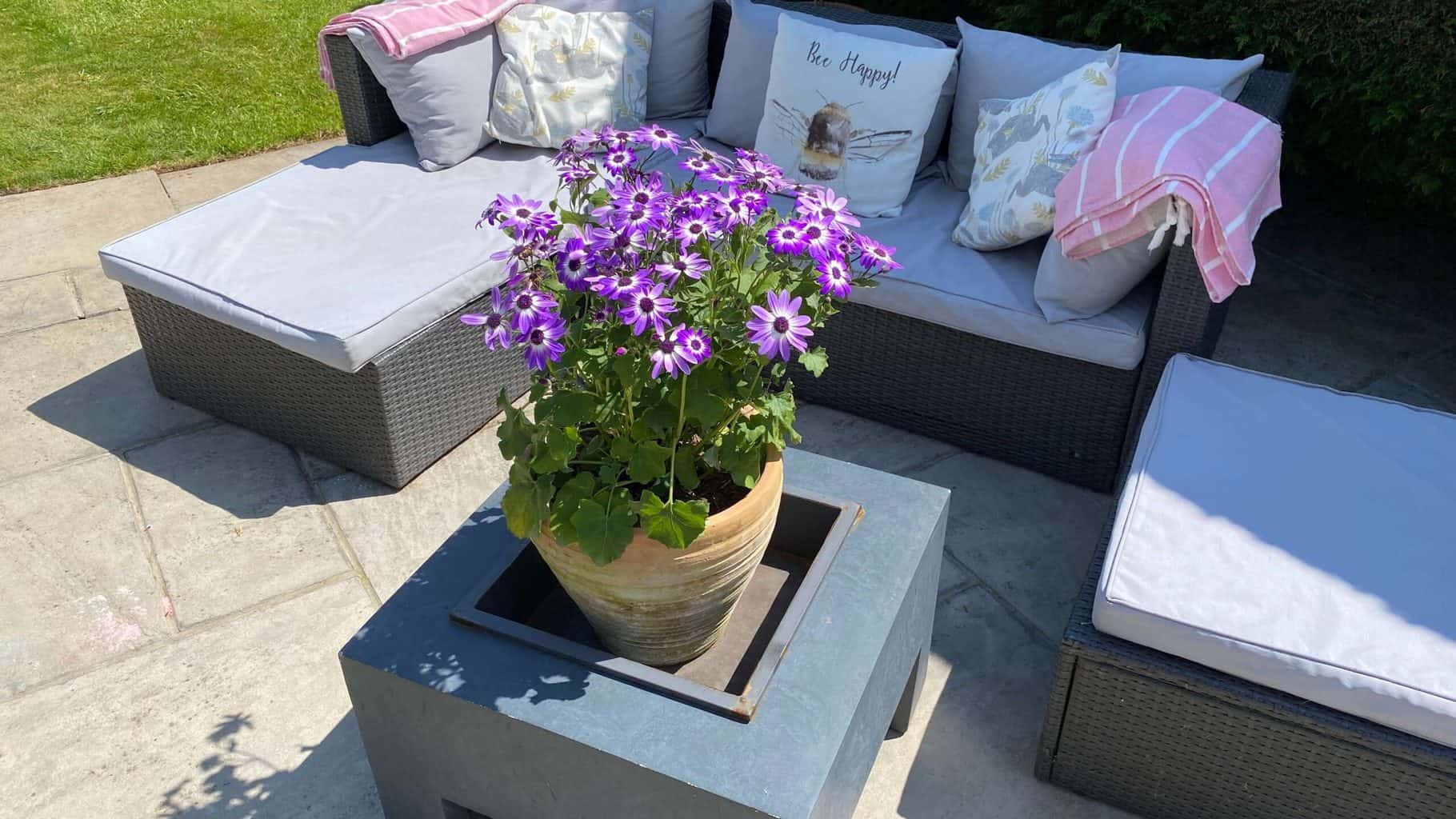 May Gardening - What To Do in the Garden in May May-gardening-senetti