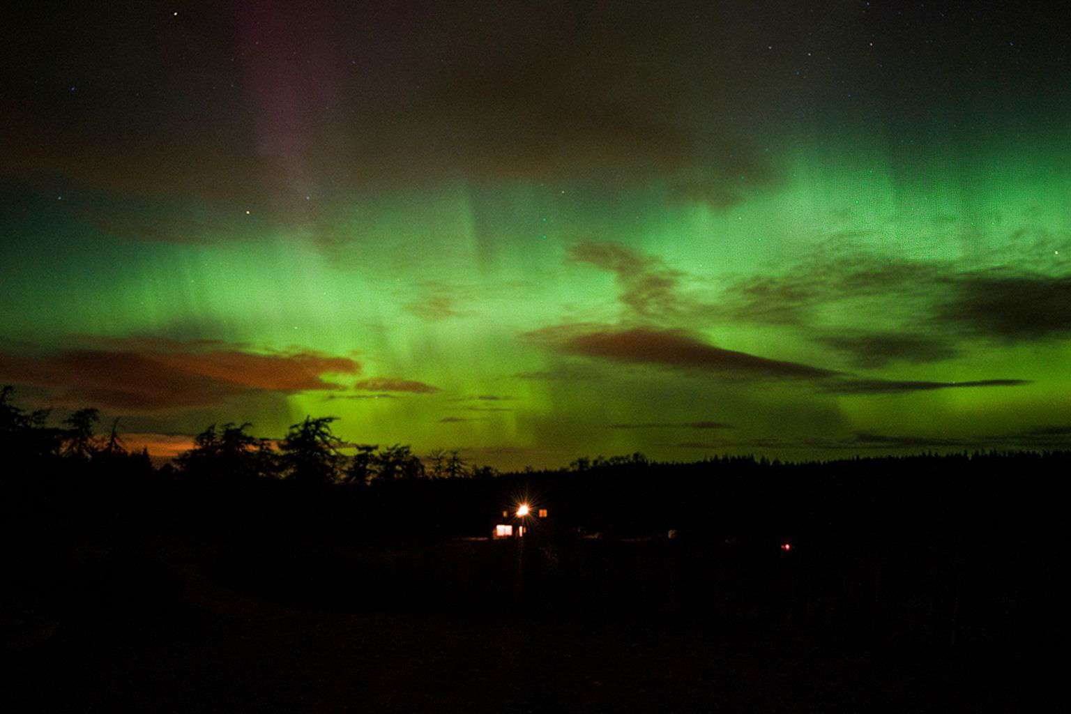 Why Luxury Lodges in Scotland Are Perfect for a Nature Holiday * luxury-lodges-in-scotland-highland-coos-northern-lights