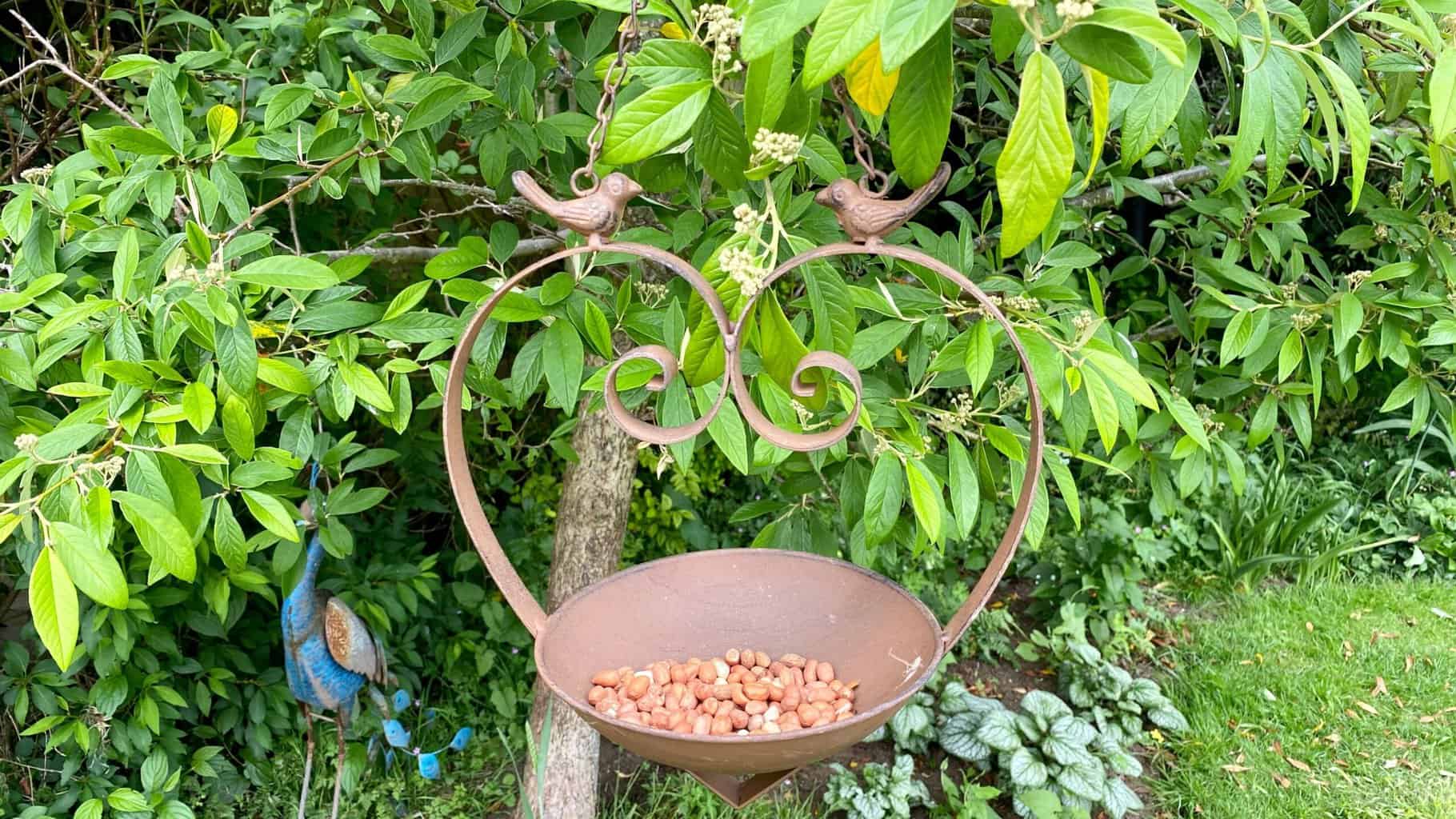 10 Pocket Money Friendly Ideas for End of Year Teacher Gifts * end-of-year-teacher-gifts-bird-feeder