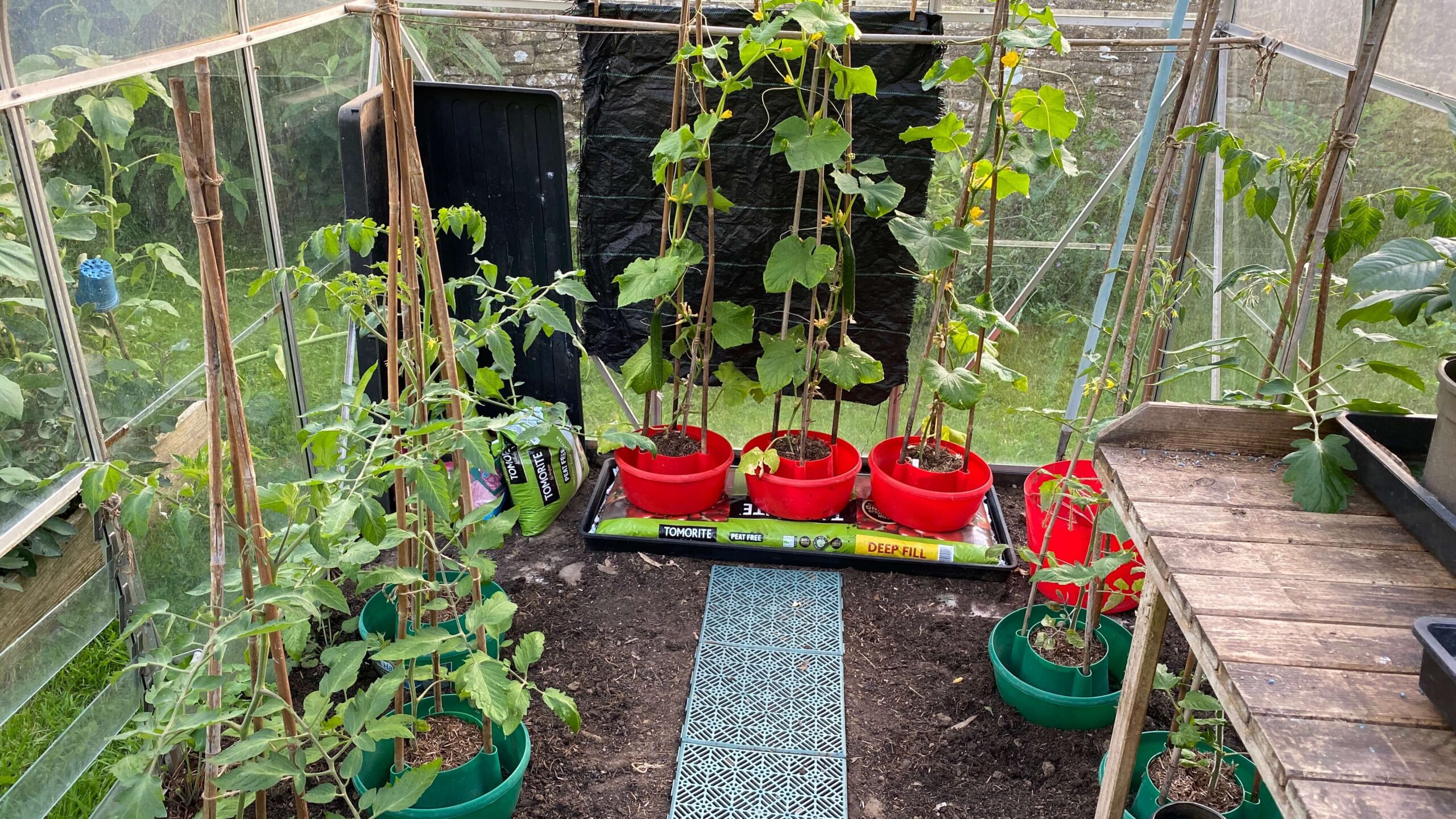 June Gardening - What To Do in the Garden in June june-gardening-greenhouse