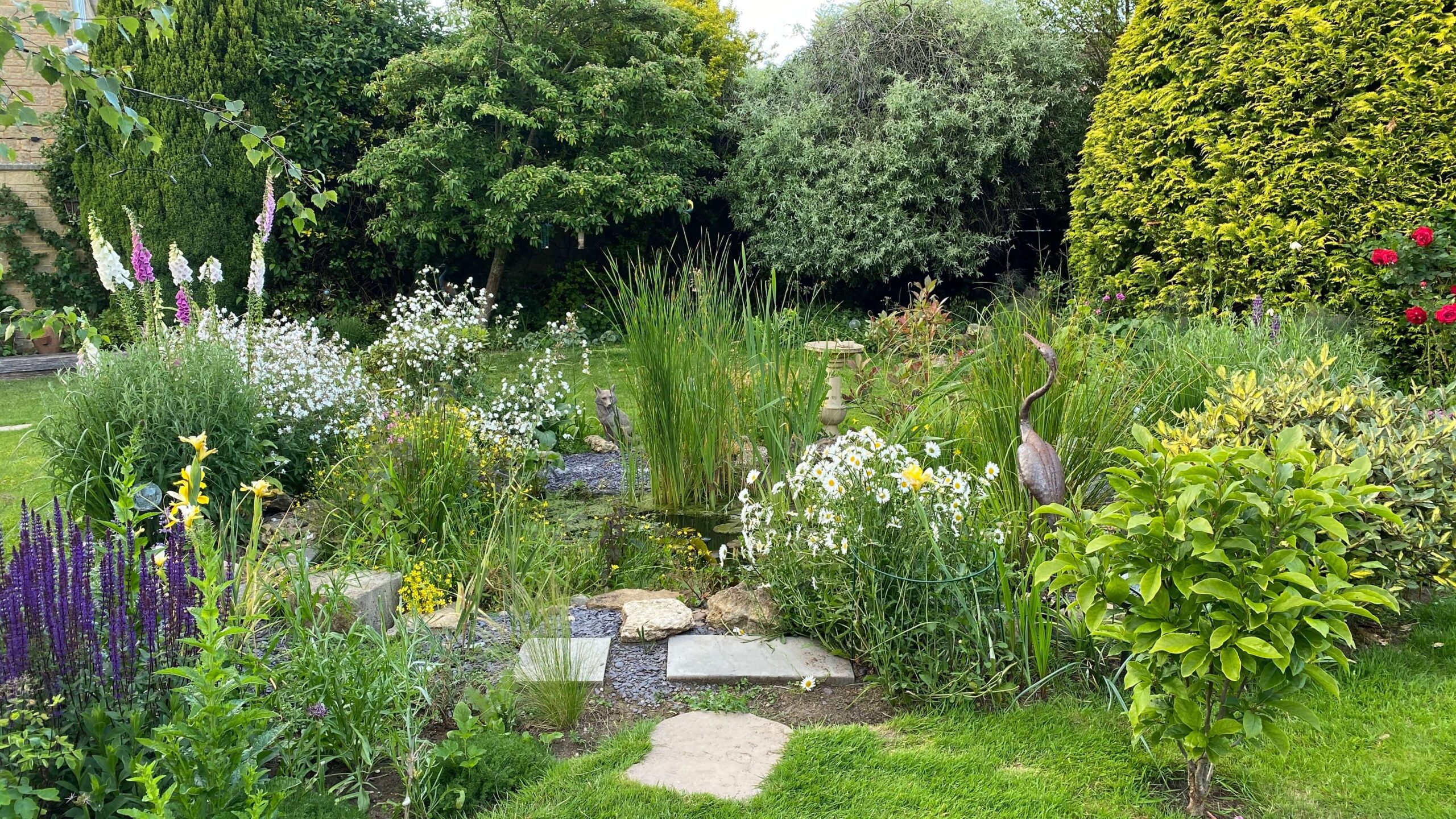 June Gardening - What To Do in the Garden in June june-gardening-wildlife-pond