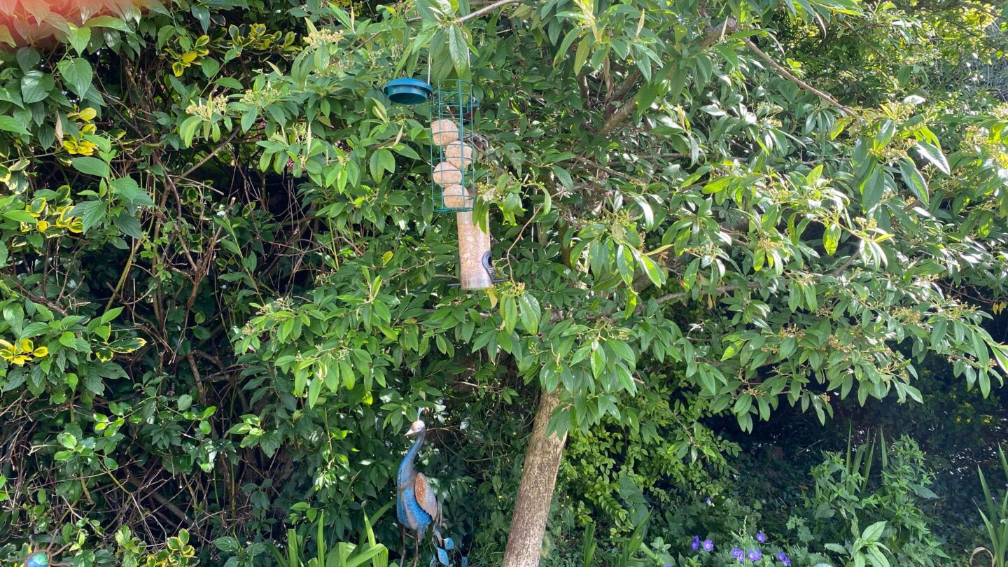 July Gardening - What To Do in the Garden in July july-gardening-bird-feeders