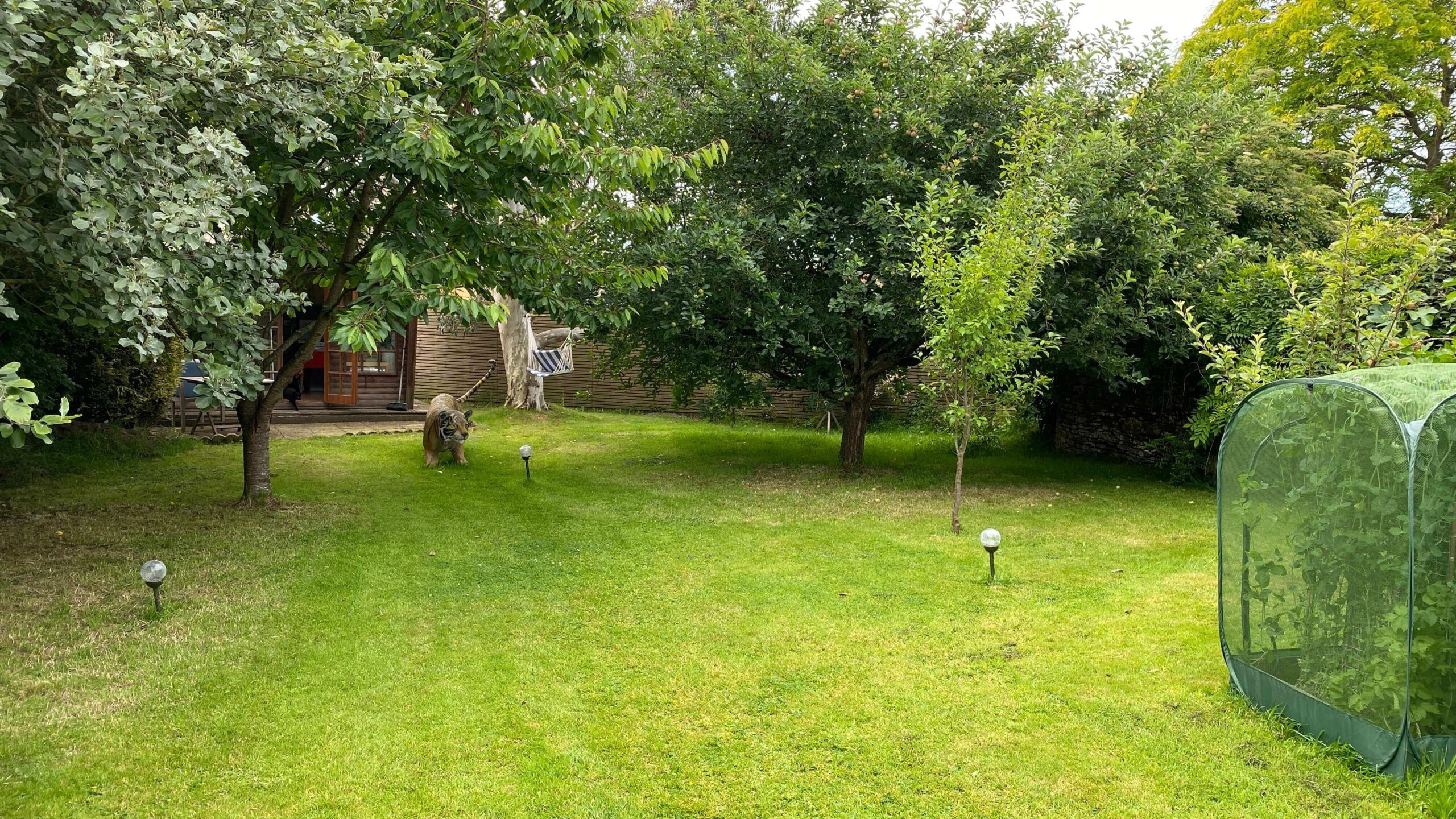 July Gardening - What To Do in the Garden in July july-gardening-orchard